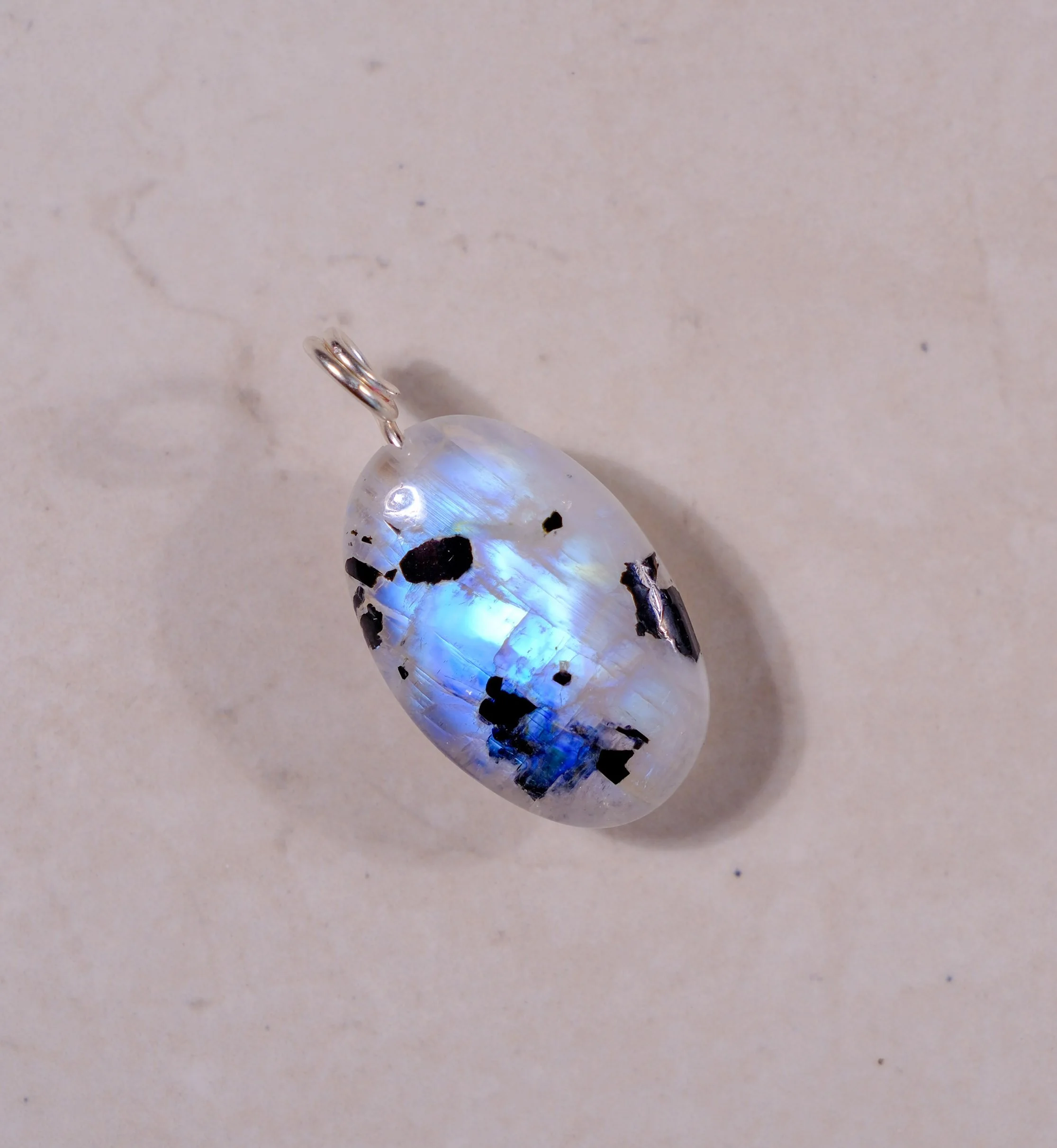 DSCF5784.jpg