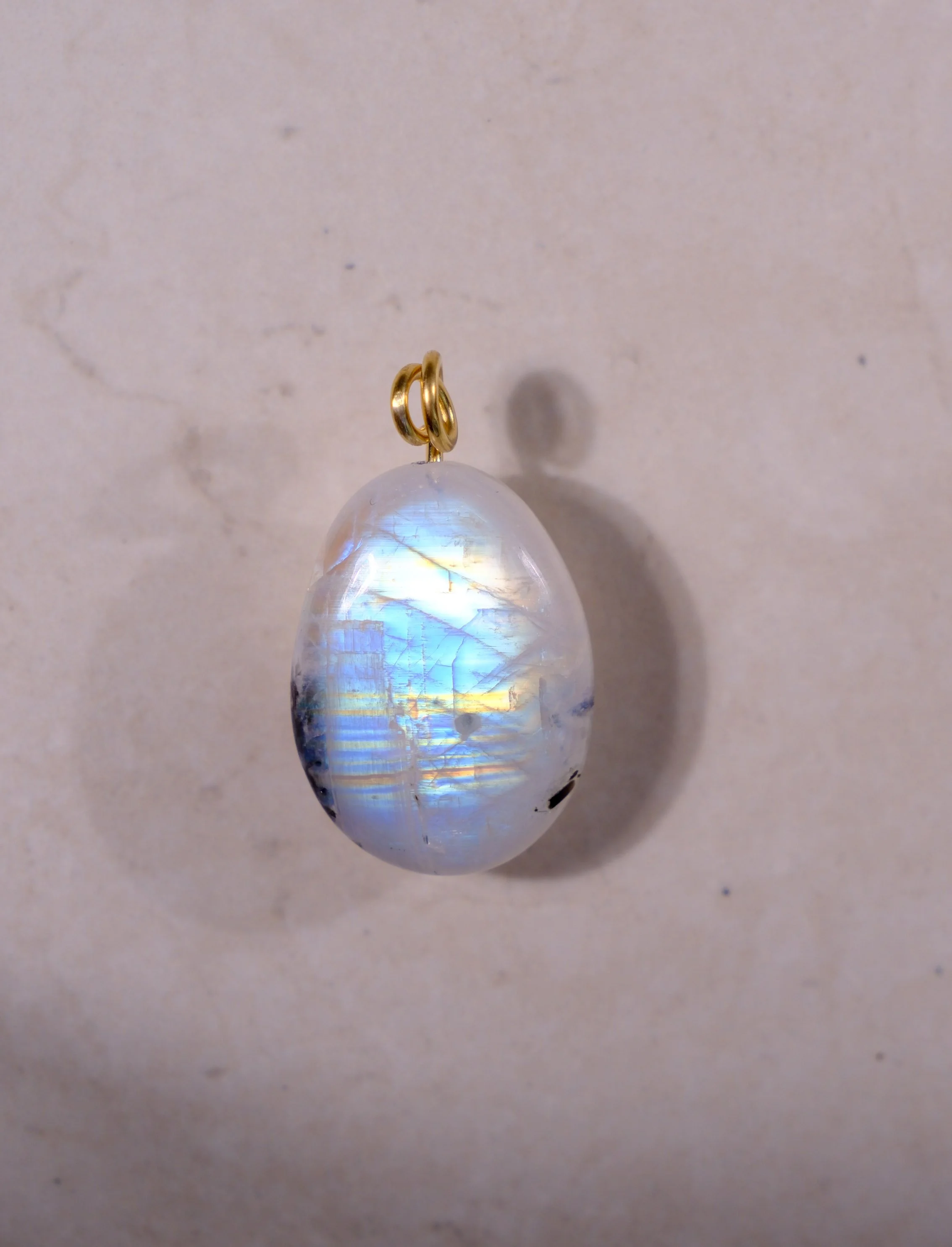 DSCF5779.jpg