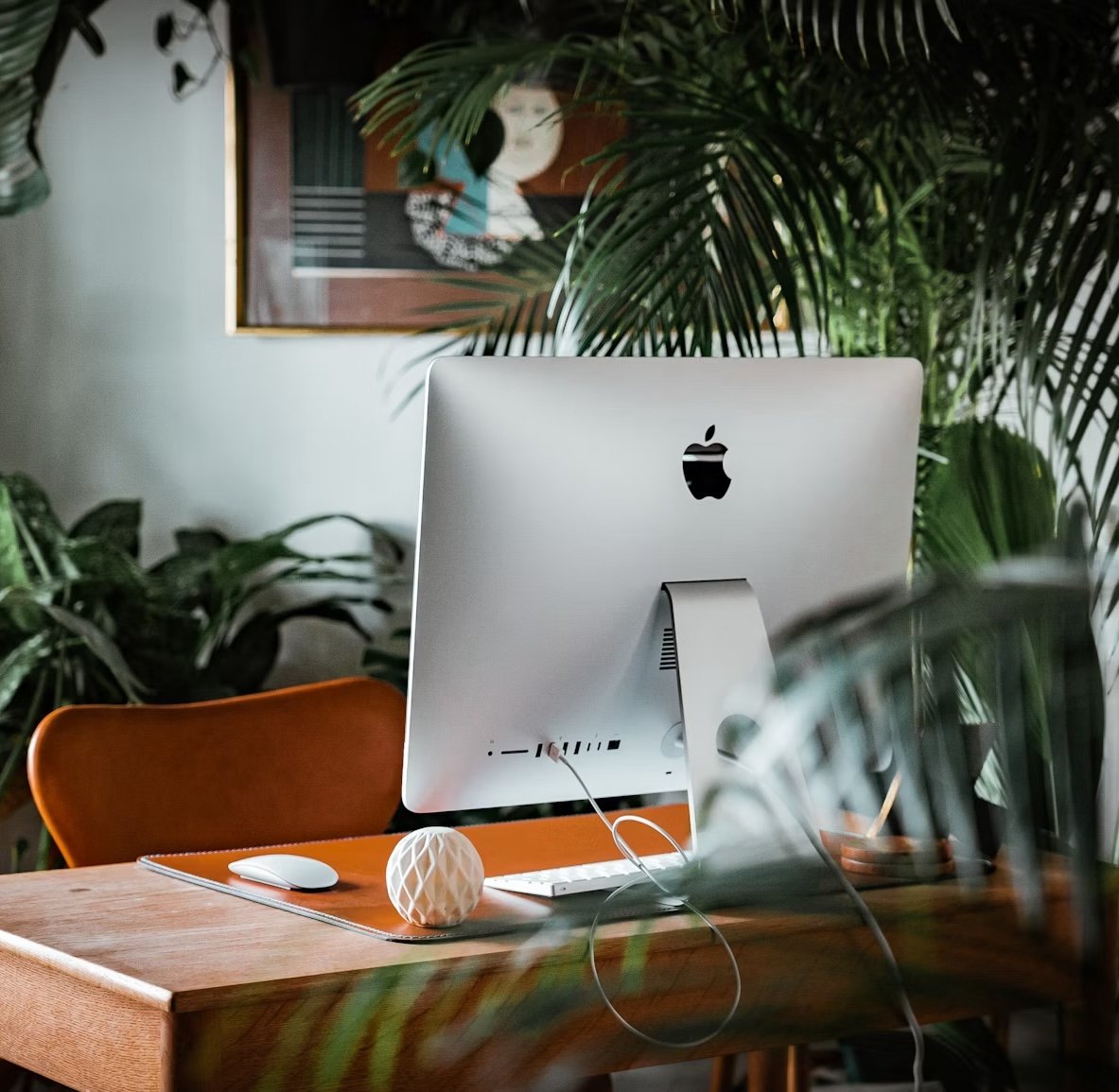 Modern workspace with a computer, orange chair, and surrounding plants
