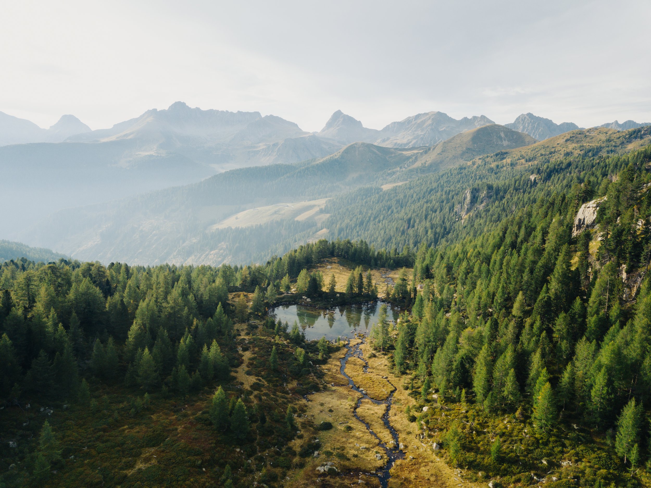 DJI_0063.jpg
