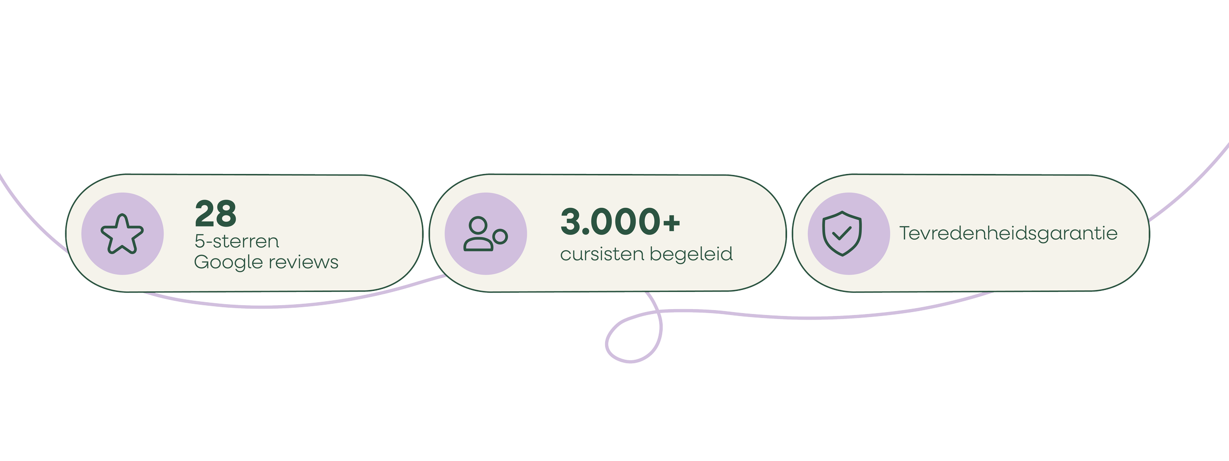 Informatieve banner met statistieken: 28 vijfsterren Google-beoordelingen over BeBold Academy, meer dan 3000 cursisten begeleid, tevredenheidsgarantie.