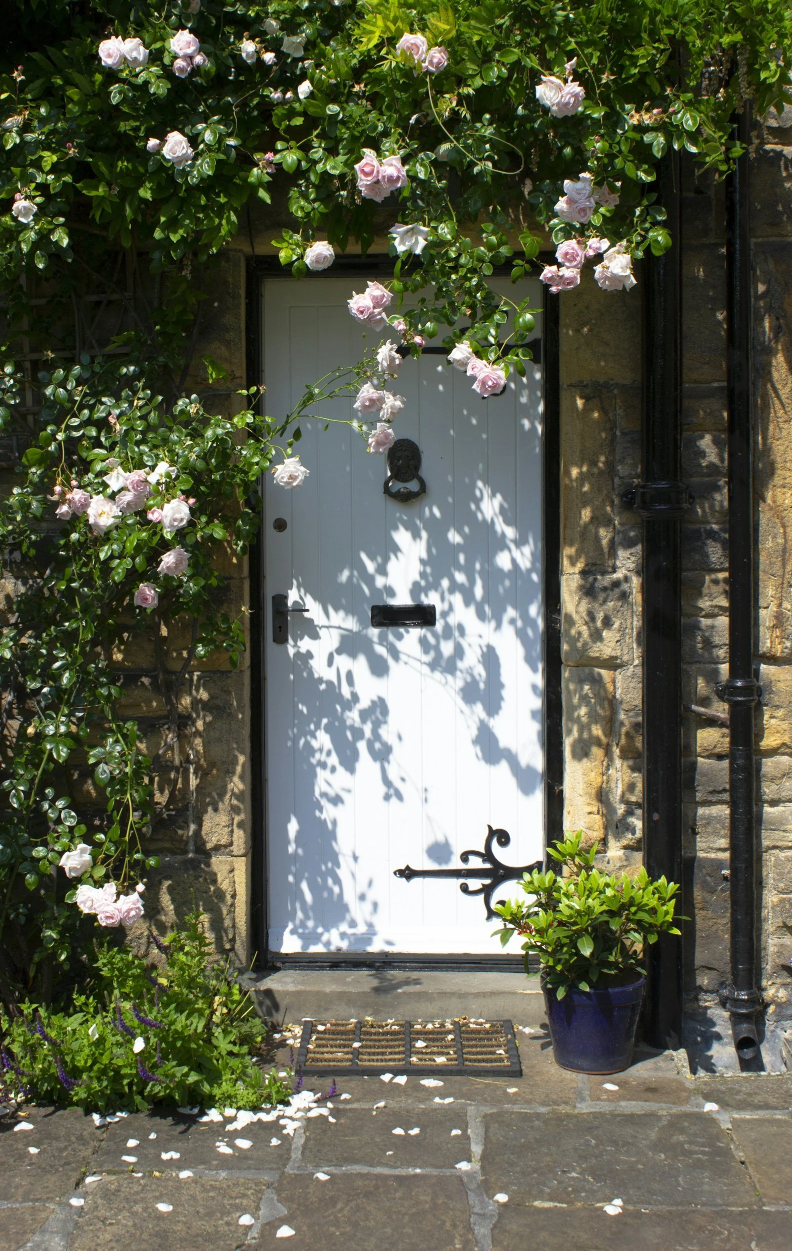 Step through an inviting door in a garden on a warm summer day to take the first step in your wellness journey so you can feel better and have the life you want.