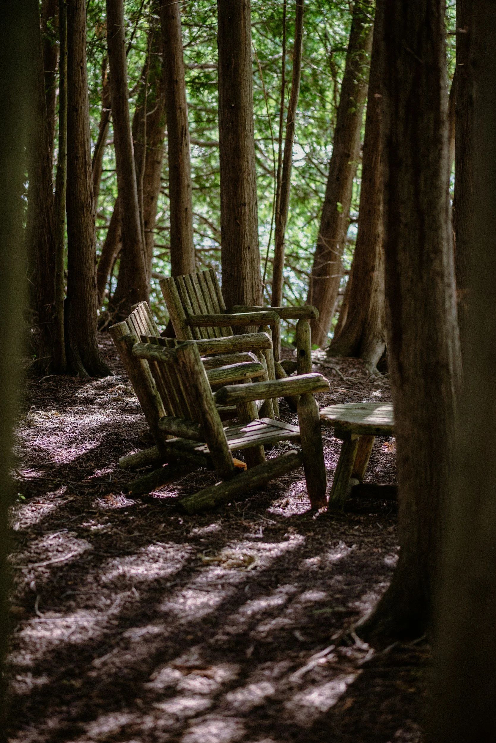 Two rustic chairs in a natural environment in the woods where two therapists in New York can work together so you feel confident in your capacity as a clinician.