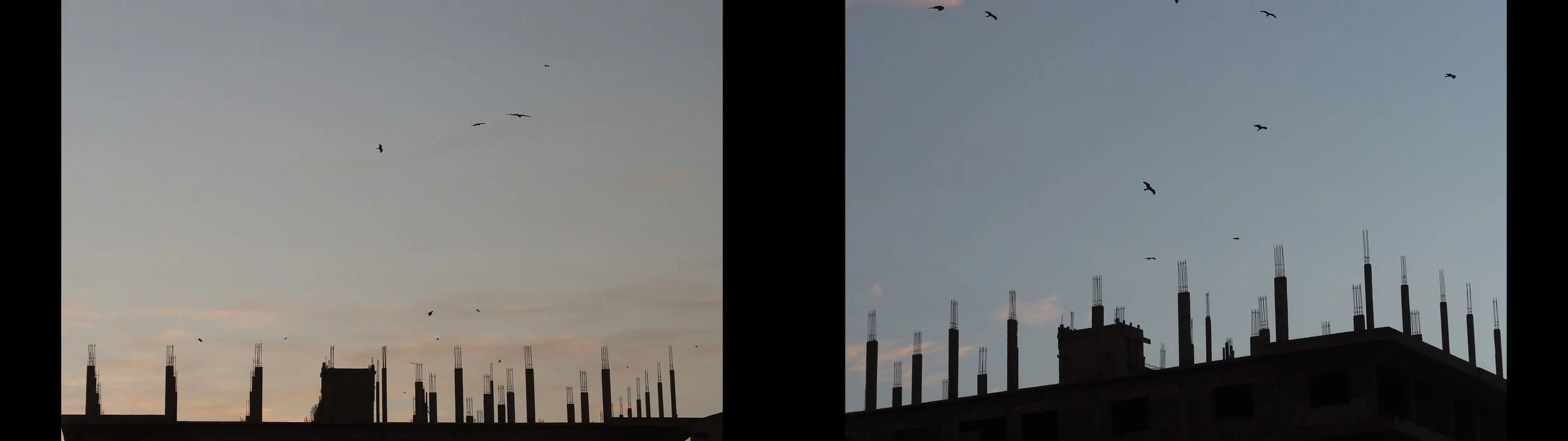 003 Armierungen im Abendhimmel.jpg