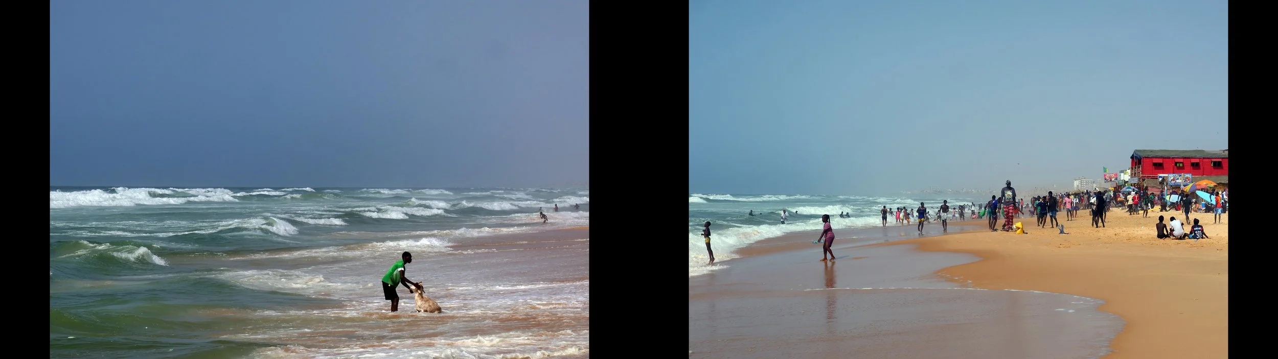 111 Ziege Plage Ngor.jpg