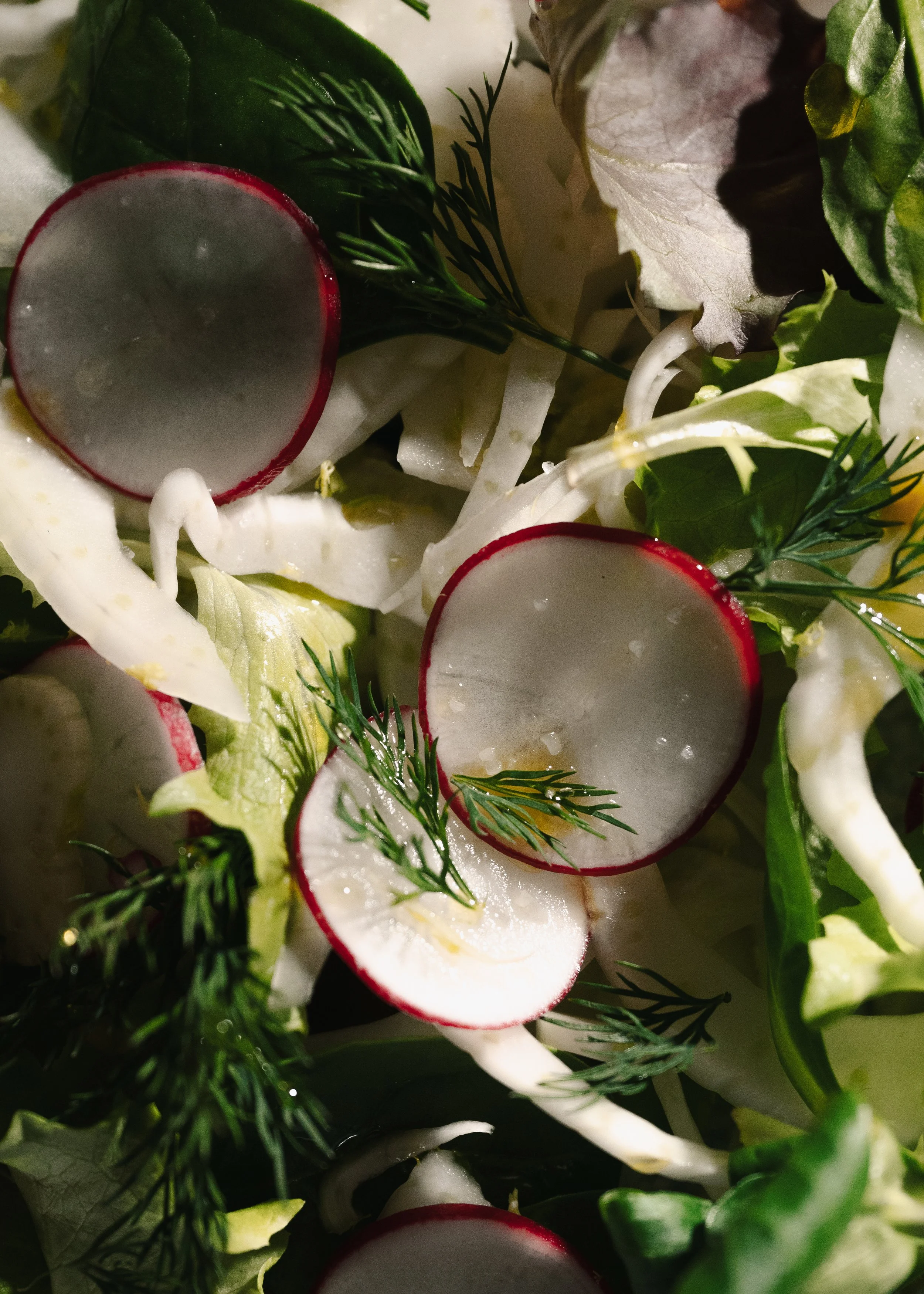 INSALATA RAVANELLI-4.jpg