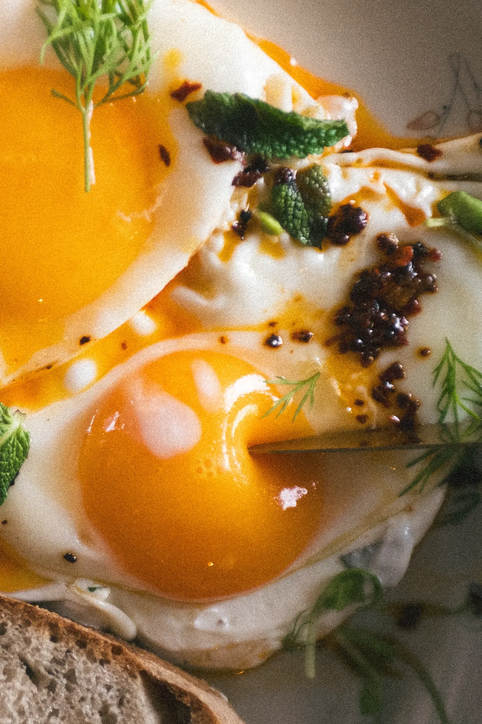 CAFFE SALOTTO_AUTUNNO-12.webp