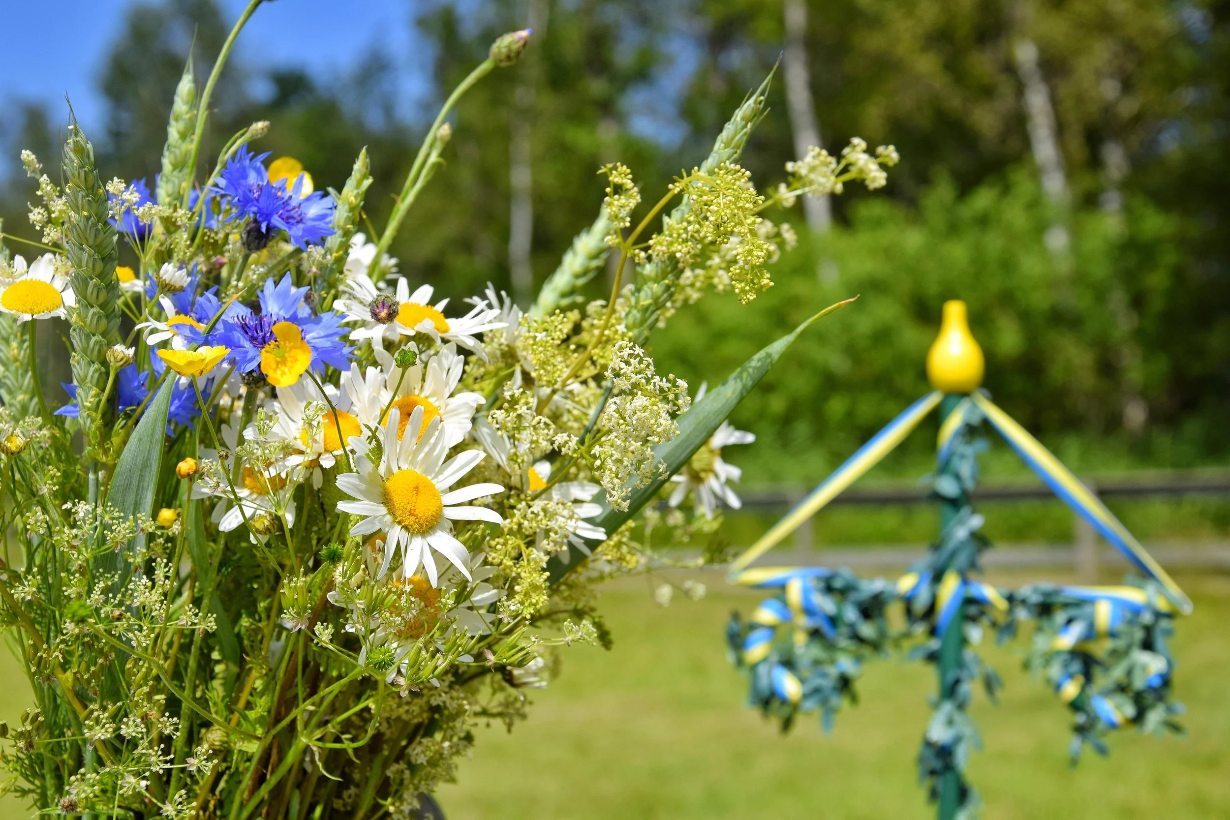 Trevlig midsommar!