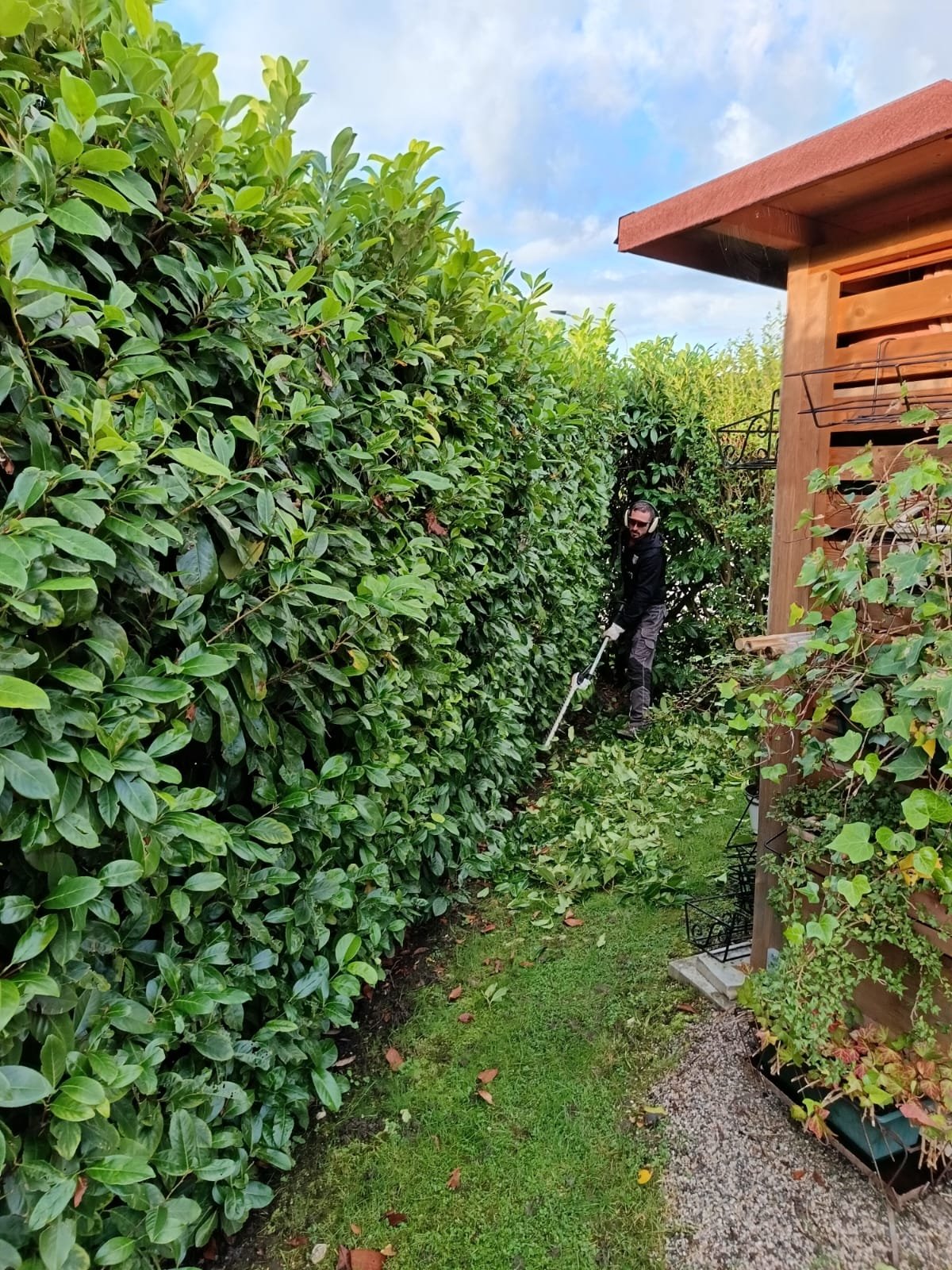 WhatsApp Image 2024-11-28 at 16.28.58.jpeg