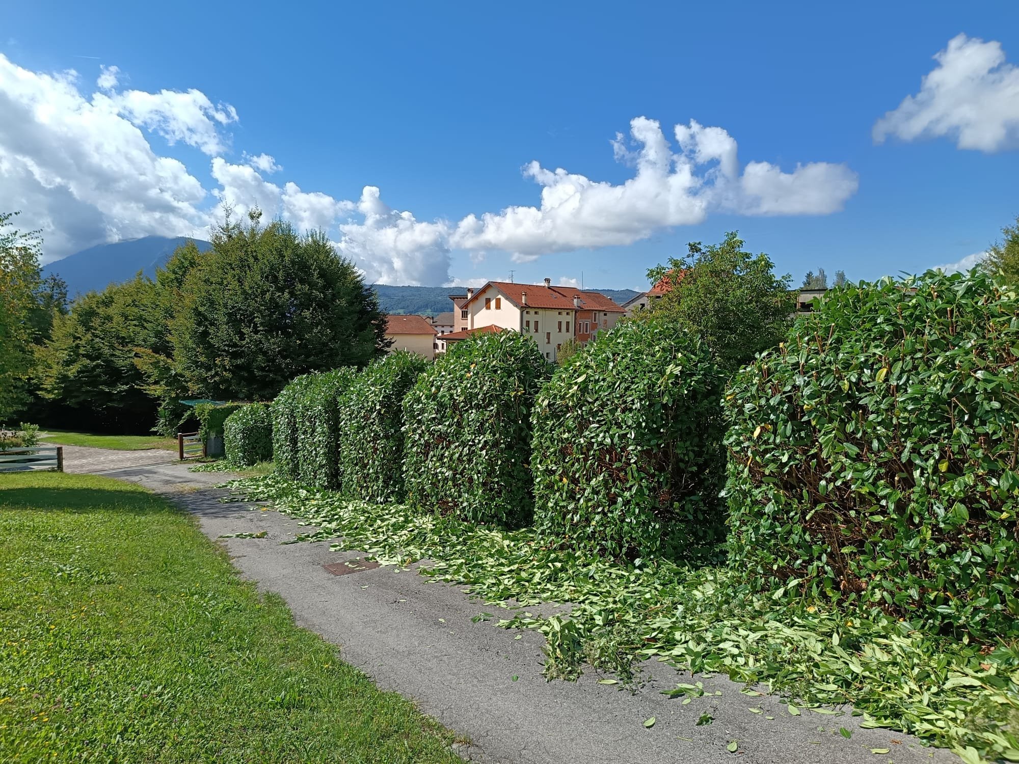 WhatsApp Image 2024-11-28 at 16.52.14.jpeg