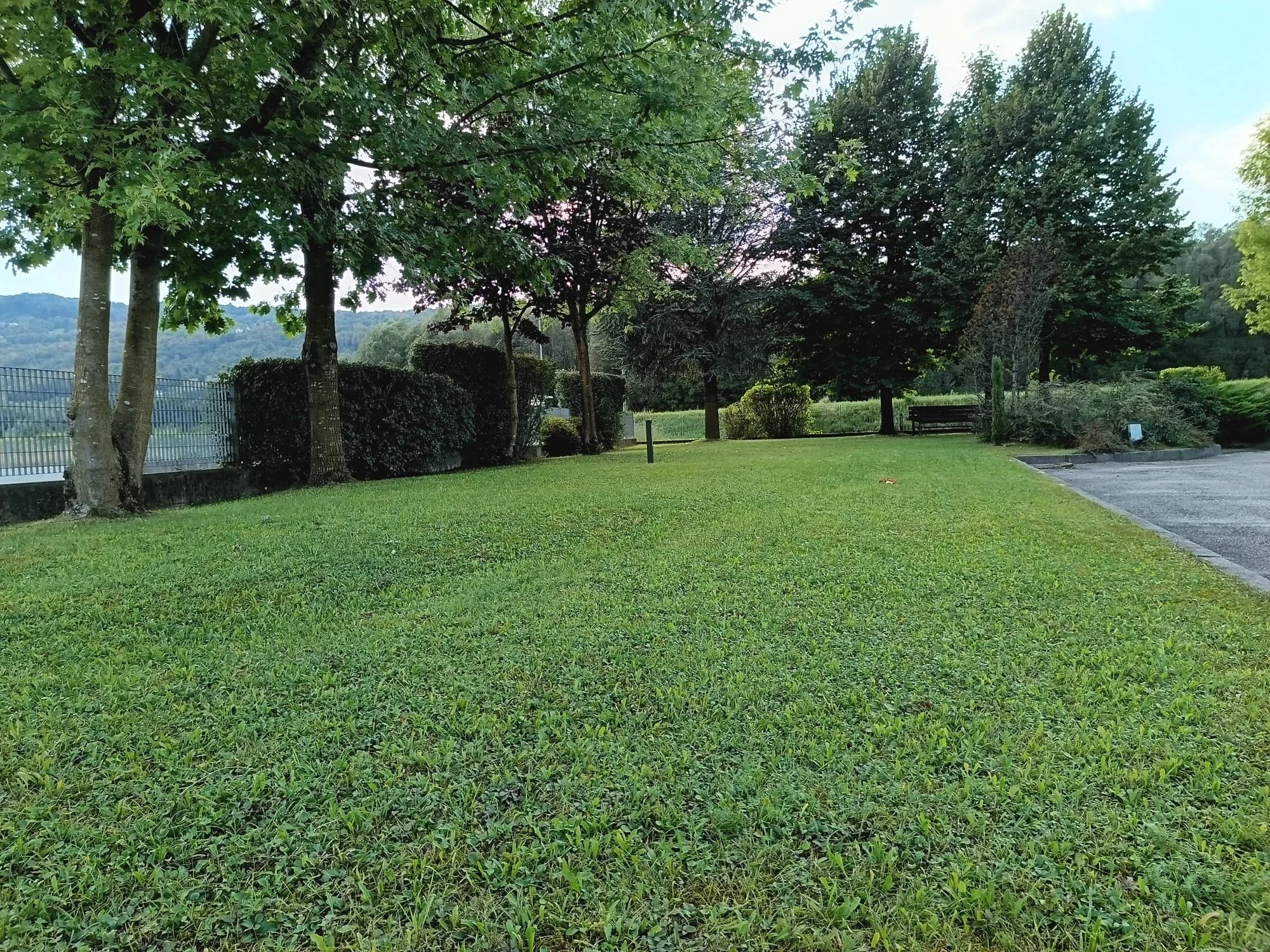 WhatsApp Image 2024-11-28 at 16.48.30.jpeg