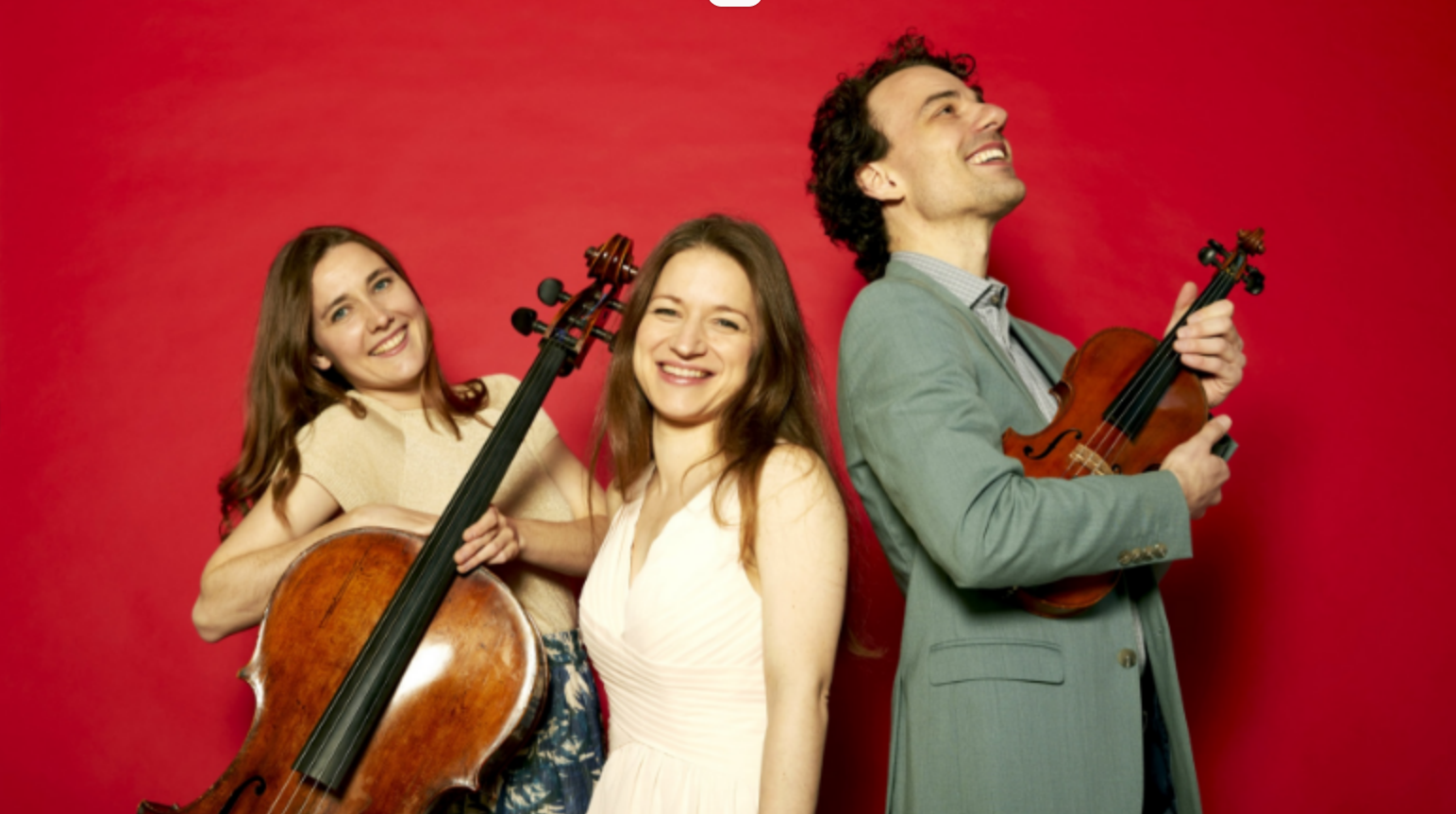 Huiskamerconcert van Delta Piano Trio