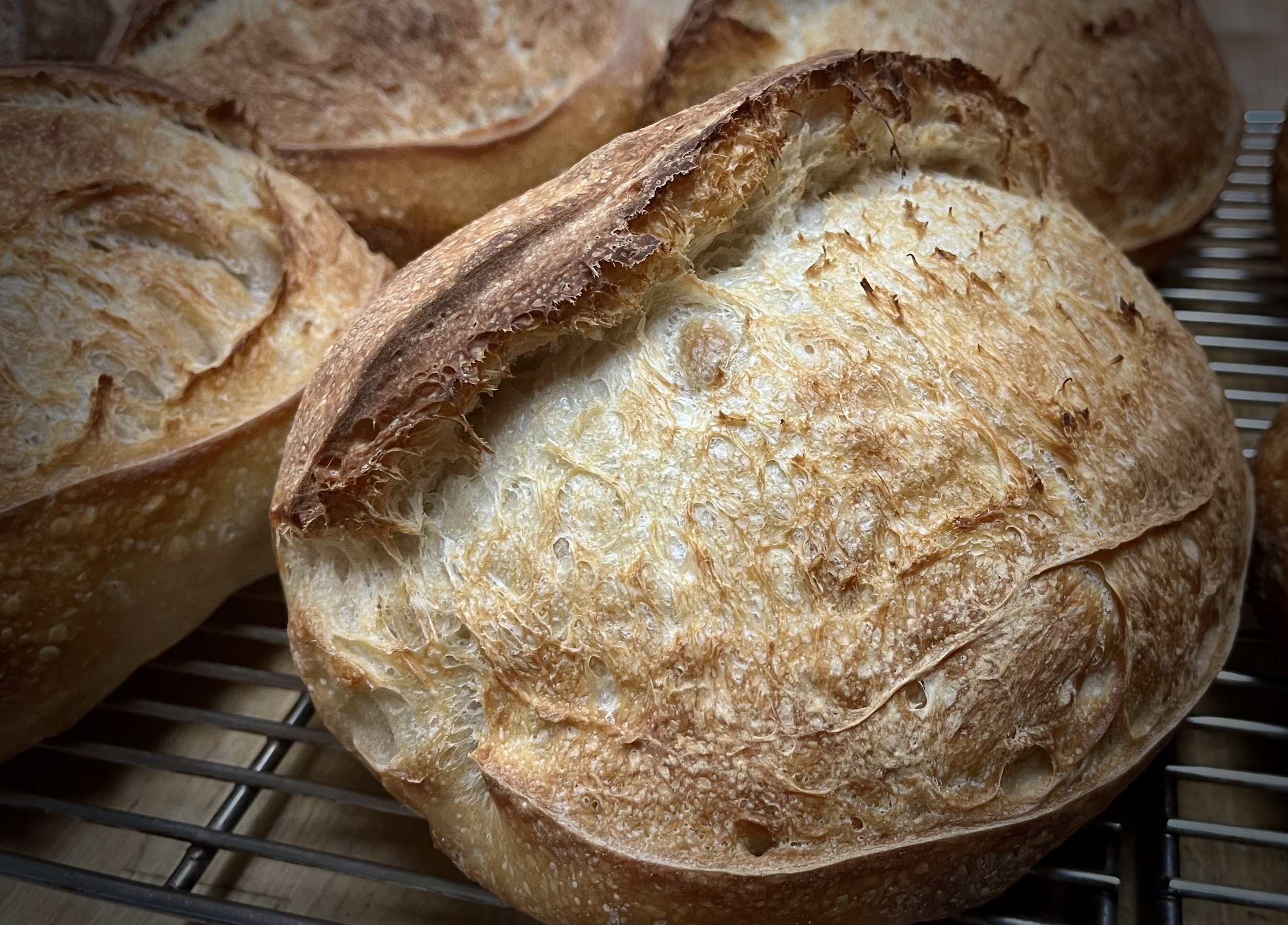 Rustic Sourdough Loaf