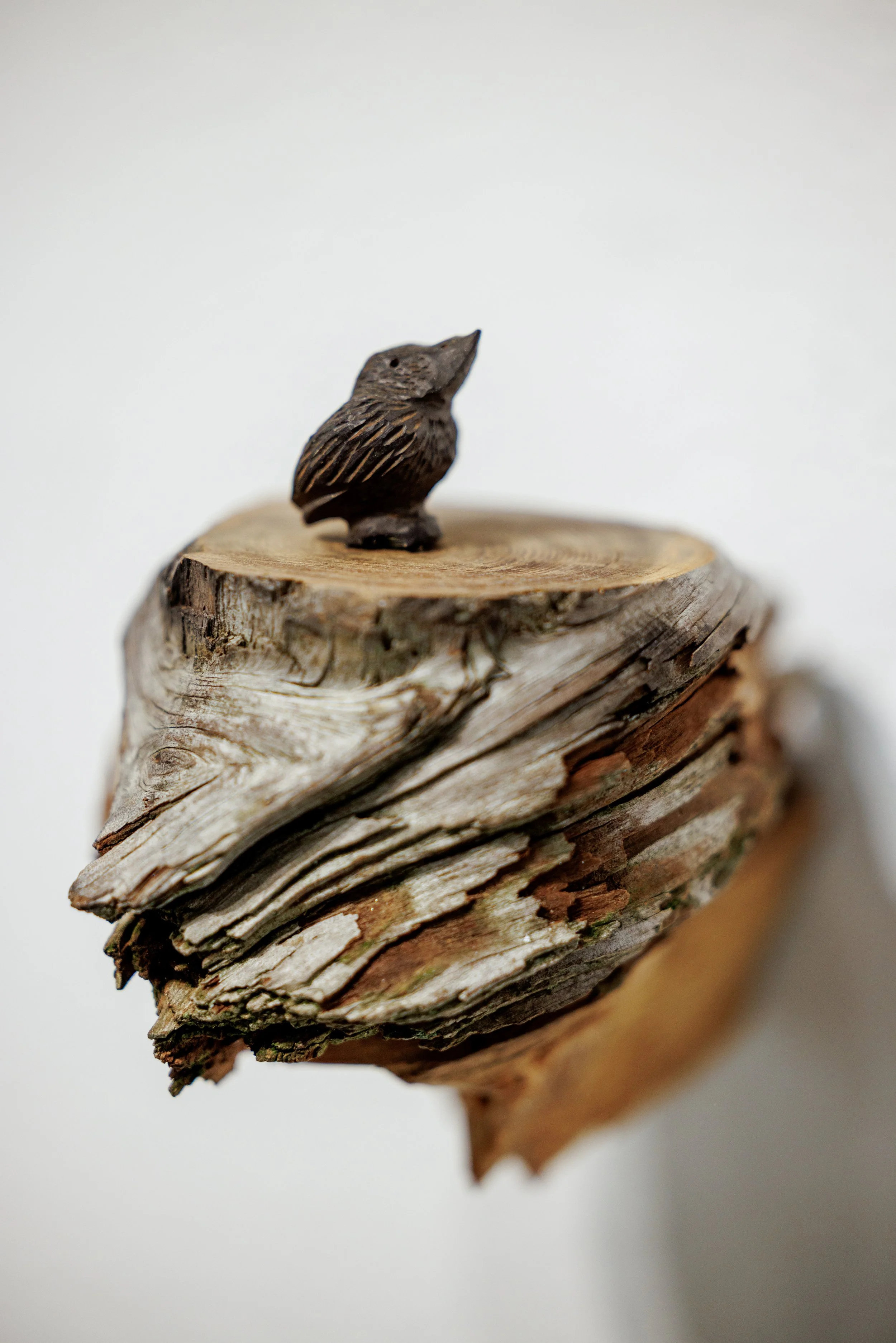 GradShow-084 (1).jpg
