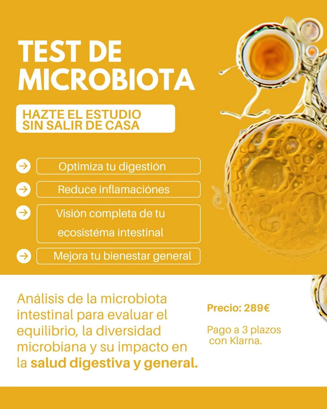 Post de Instagram servicio de enfermera a domicilio verde agua blanco fotografía .jpg