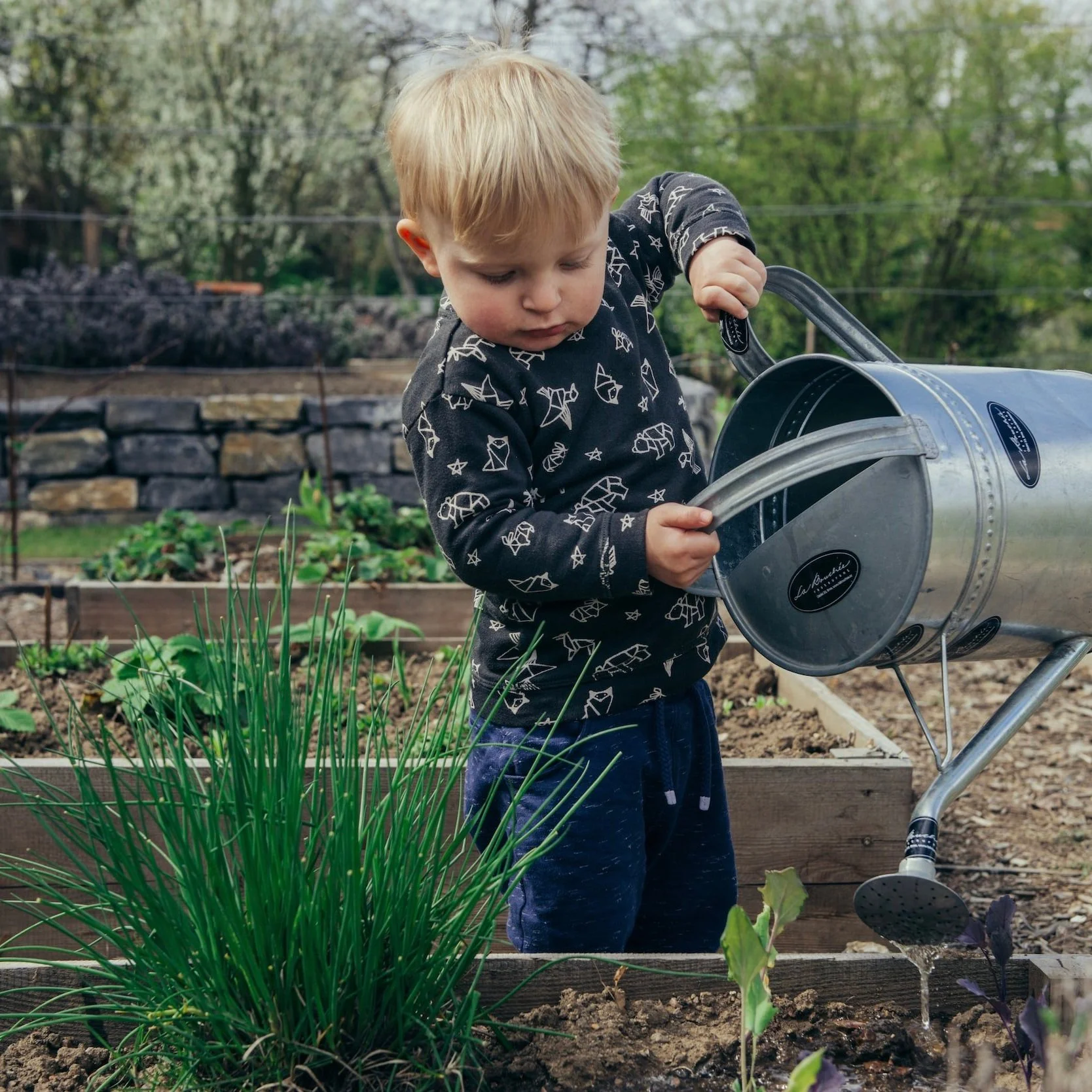 Encouraging Sustainable Living Habits in New York Communities