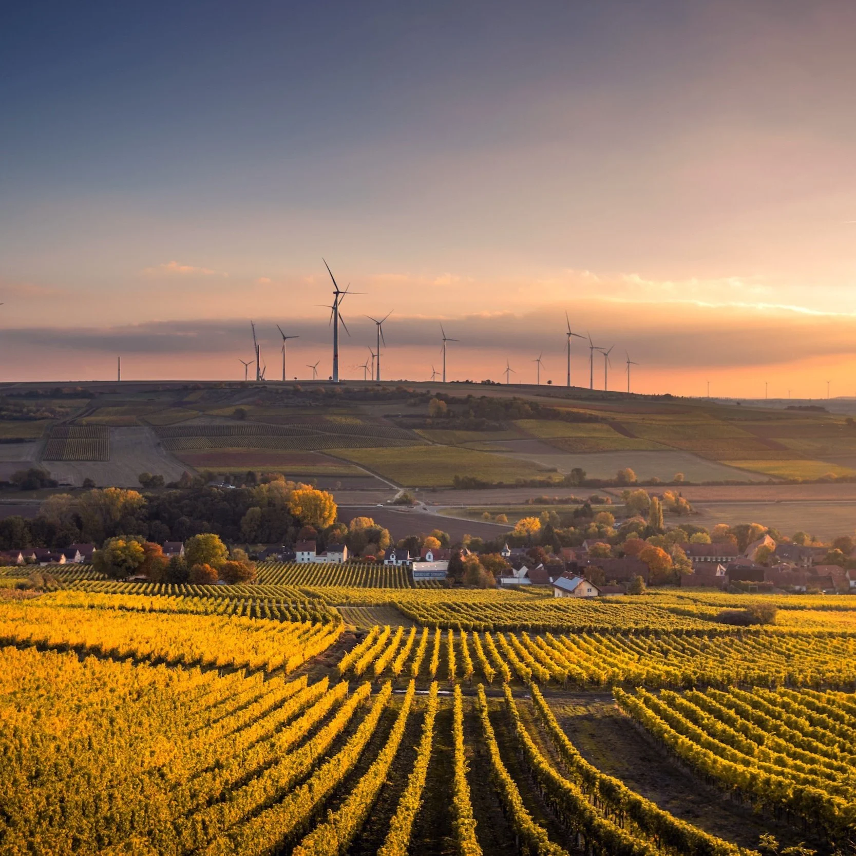 The Growth of Agrivoltaics in NY's Rural Areas