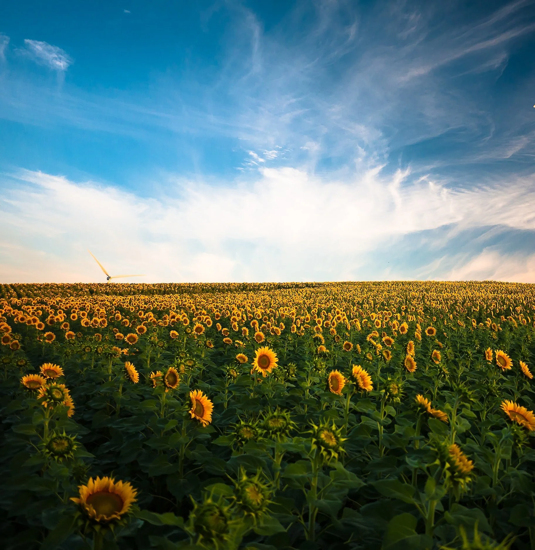 Highlights from NY's Sustainable Energy Week