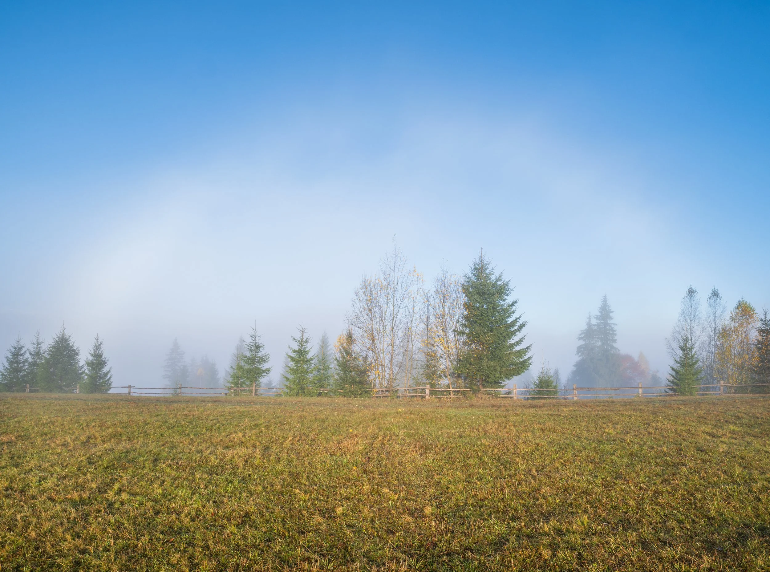 iStock-1411457129.jpg