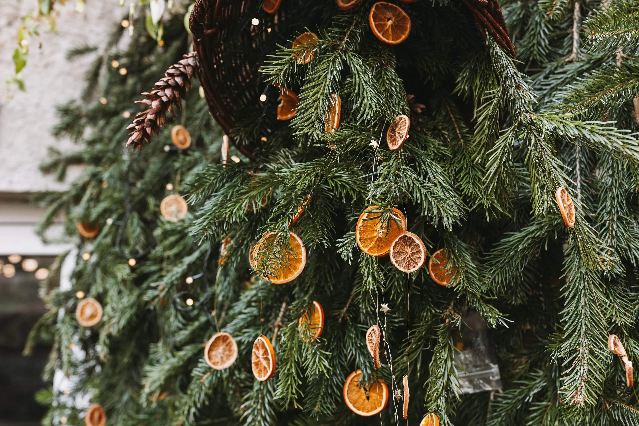 iStock-1443337654.jpg