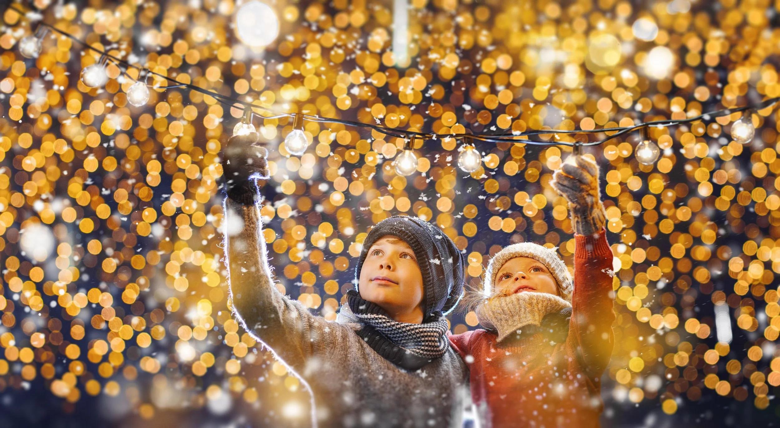 iStock-1424232299.jpg