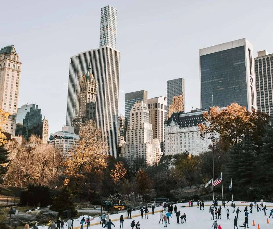 Untitled design3.jpg