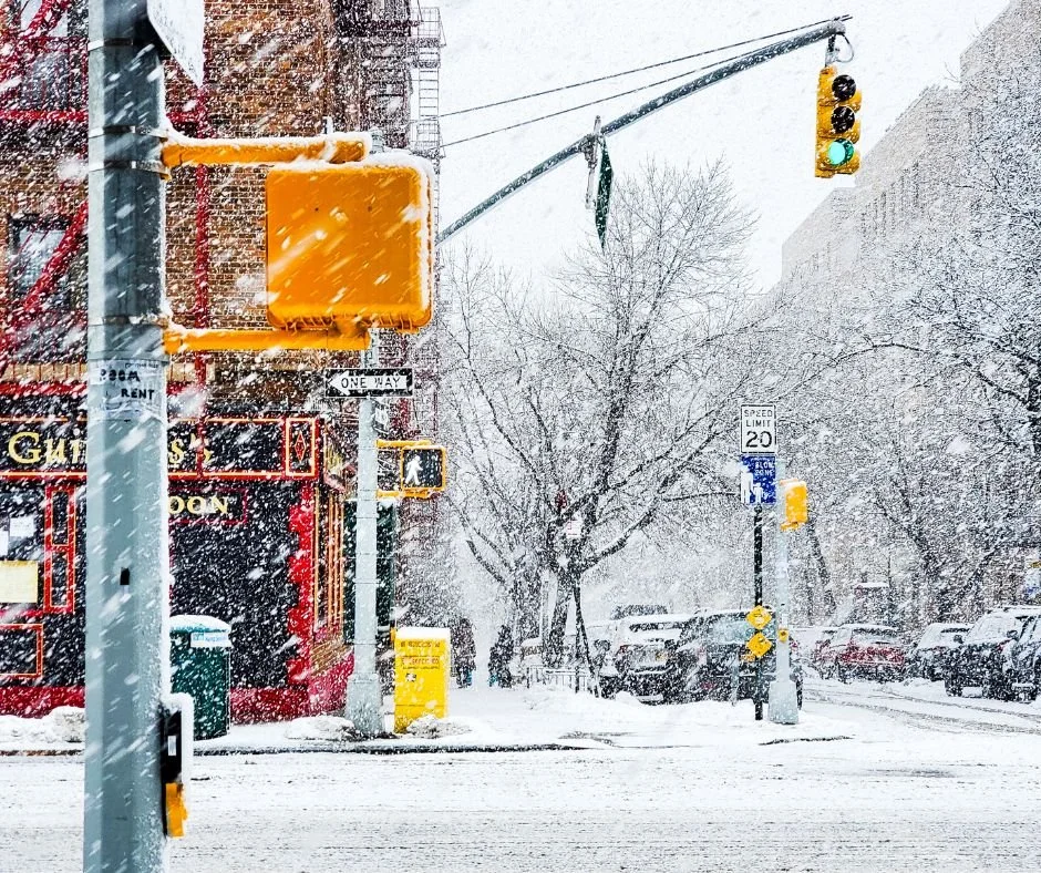 Untitled design1.jpg