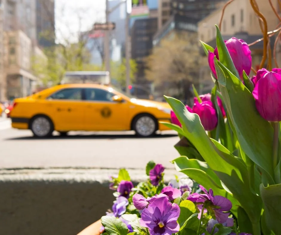 Untitled designa.jpg