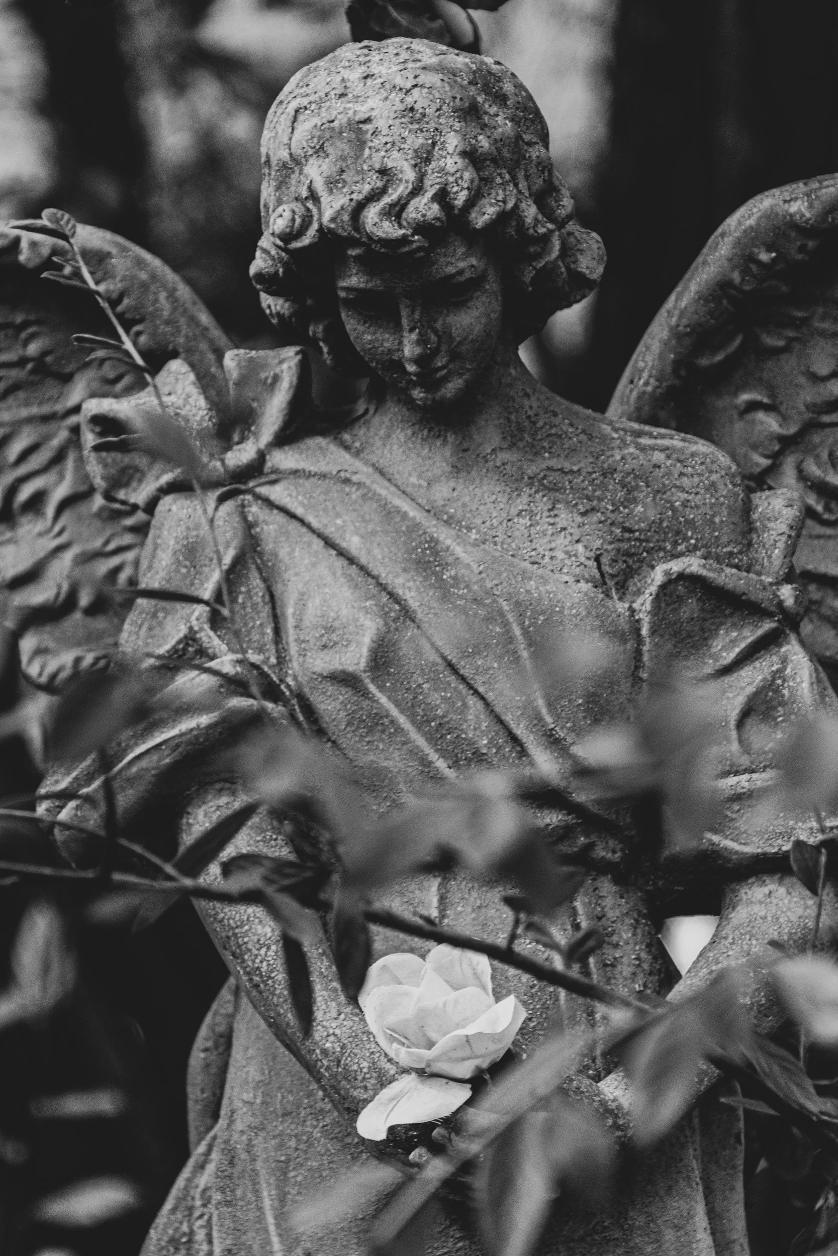 Close-up of a weathered angel statue with wings, surrounded by plants and flowers.