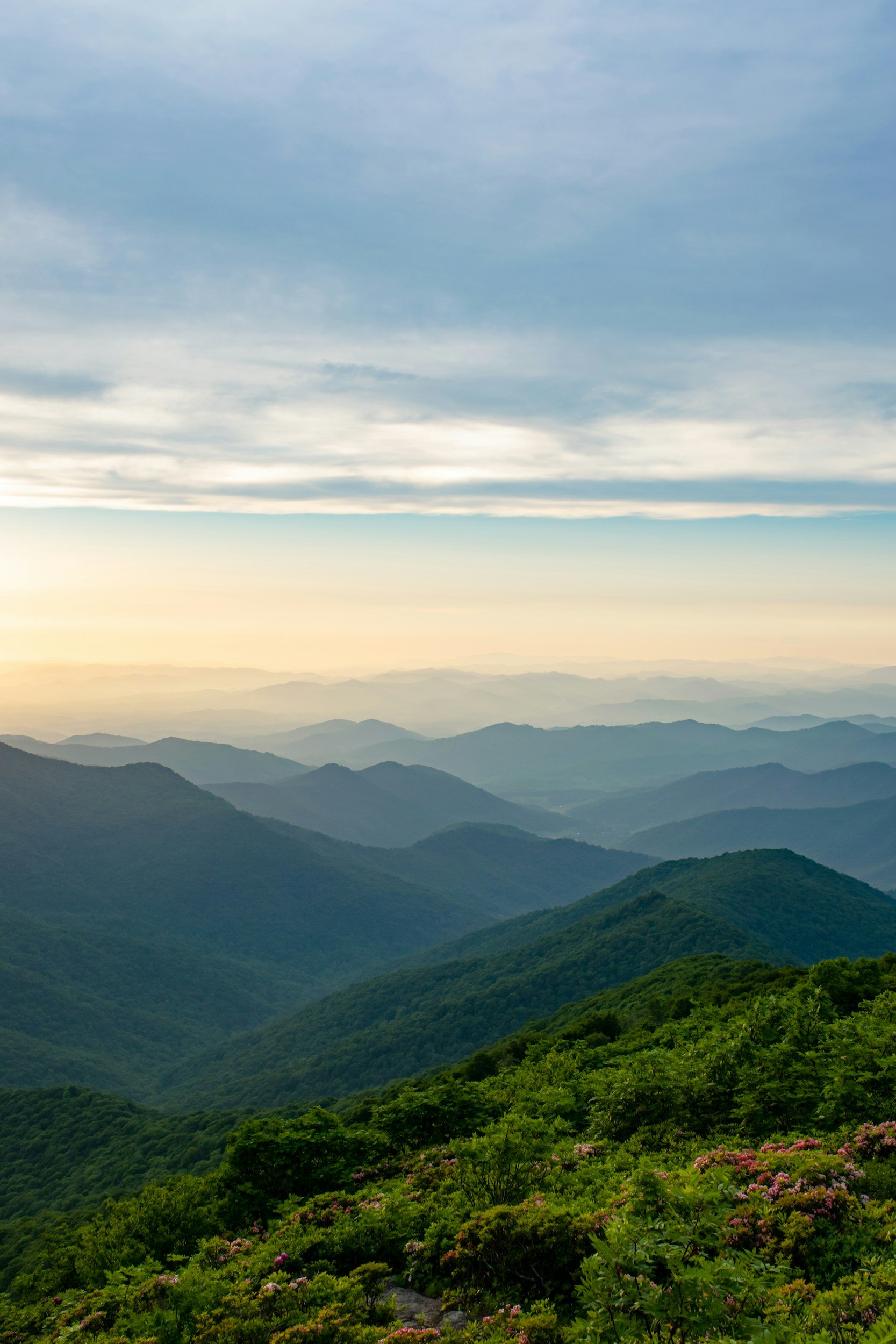 A scenic view of a mountain range with lush green trees and blooming pink flowers in the foreground, layered with distant hazy blue mountains under a partly cloudy sky.