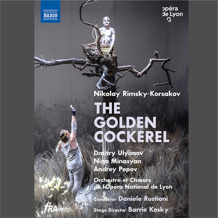 Rimsky-Korsakov: The Golden Cockerel [DVD]