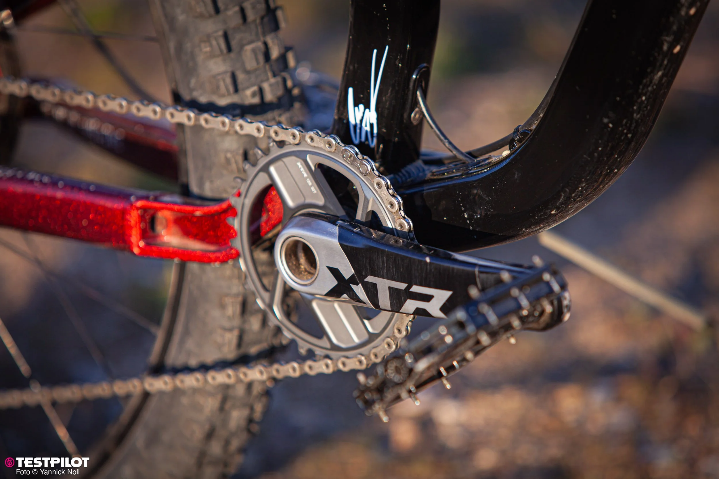 Testpilot_Zink_Bikes_Vacay_2500px-0045.jpg