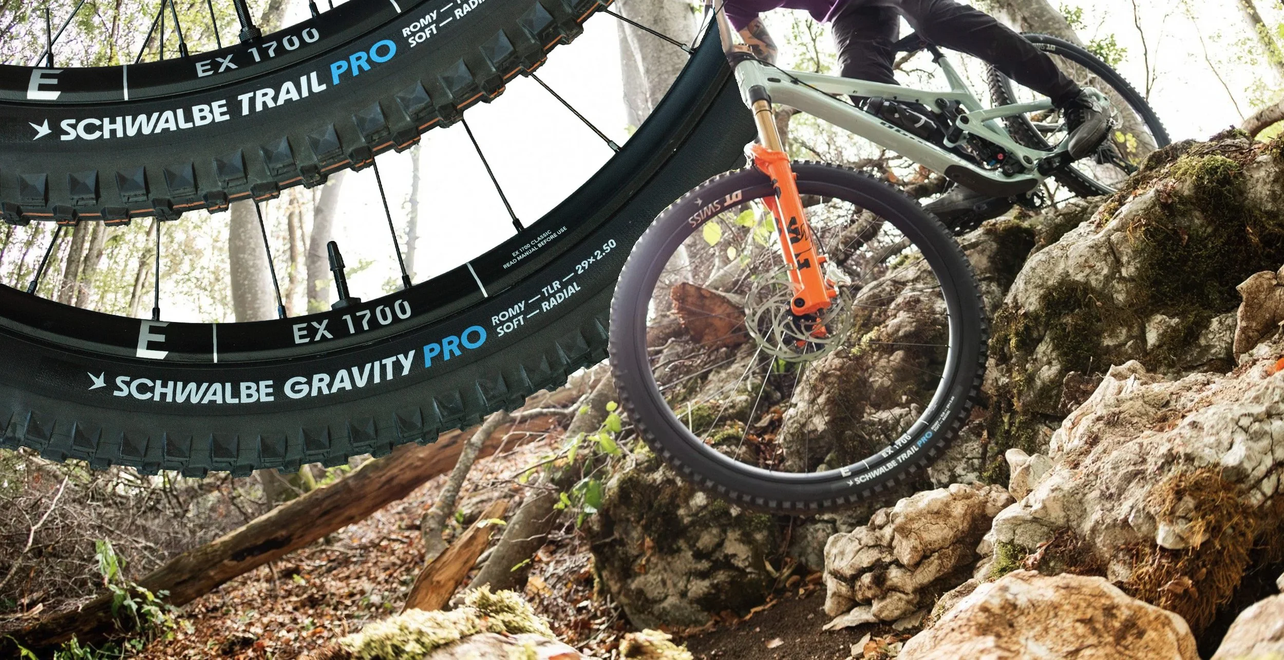 Schwalbe Romy im Test: Trail Pro- vs. das überarbeitete Gravity Pro-Casing