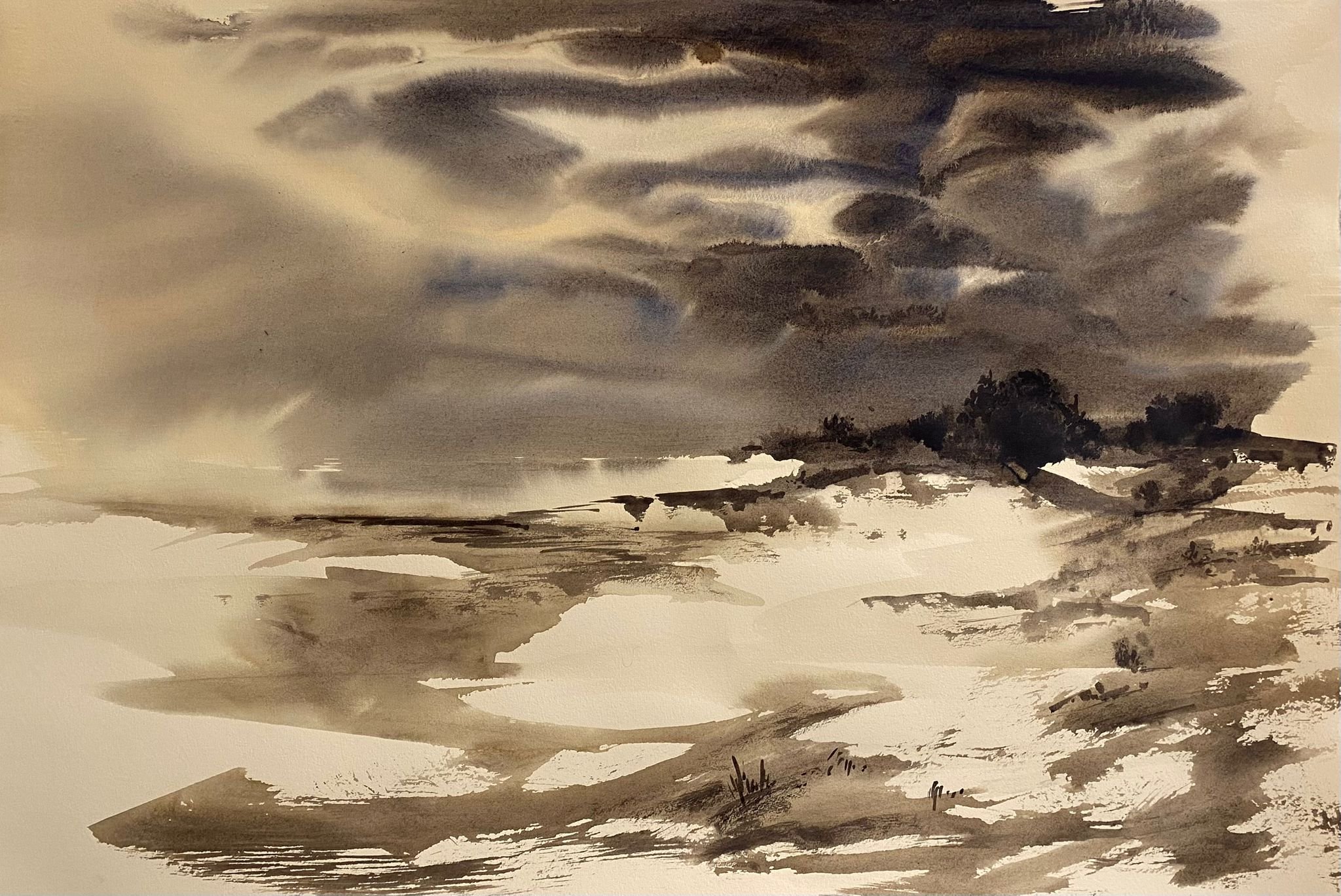 WhatsApp Image 2026-01-29 at 12.39.36(1).jpeg