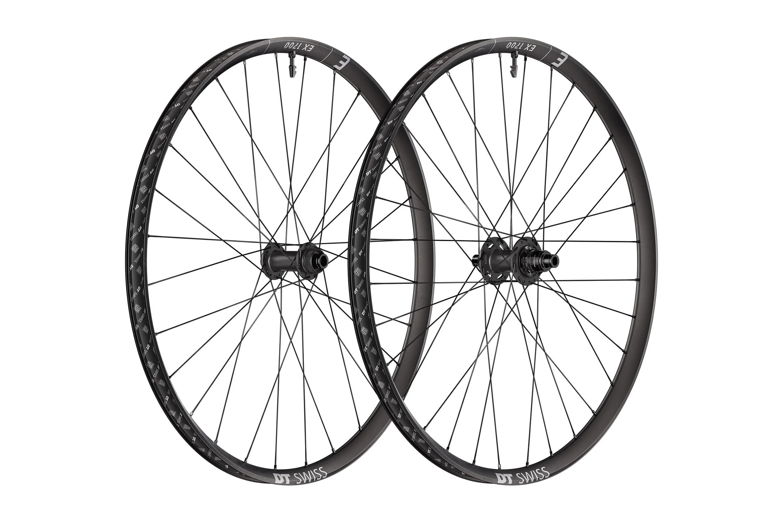DT_EX_2500x1667.jpg