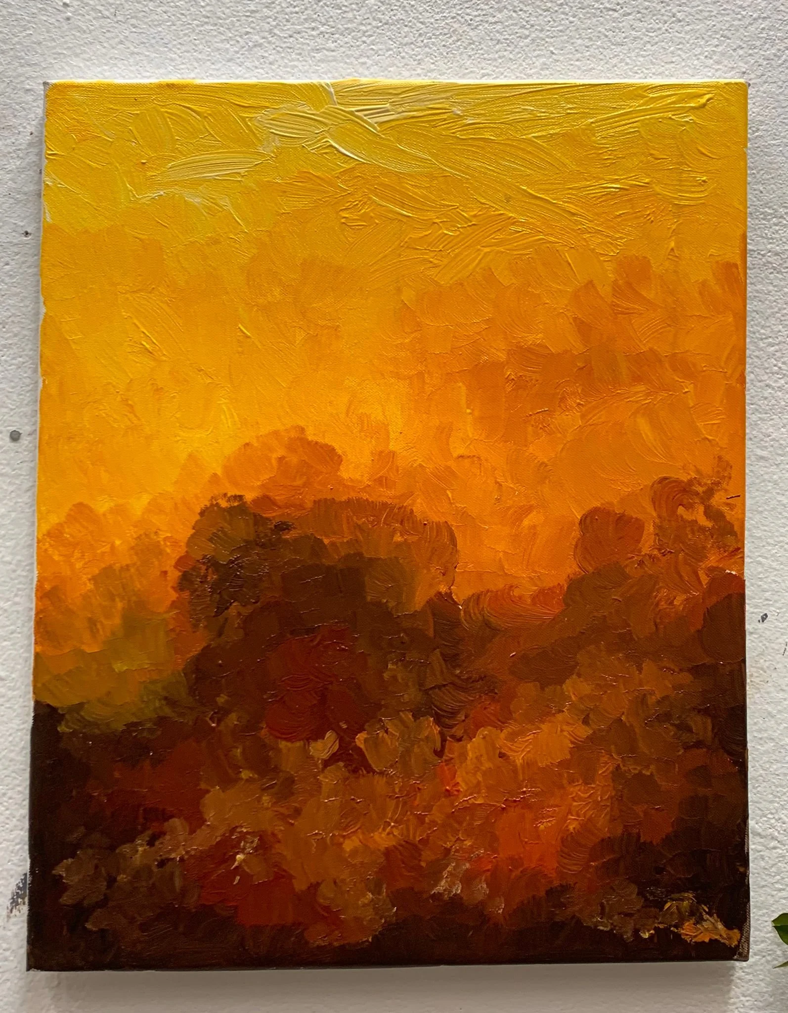 WhatsApp Image 2026-01-29 at 12.39.34.jpeg