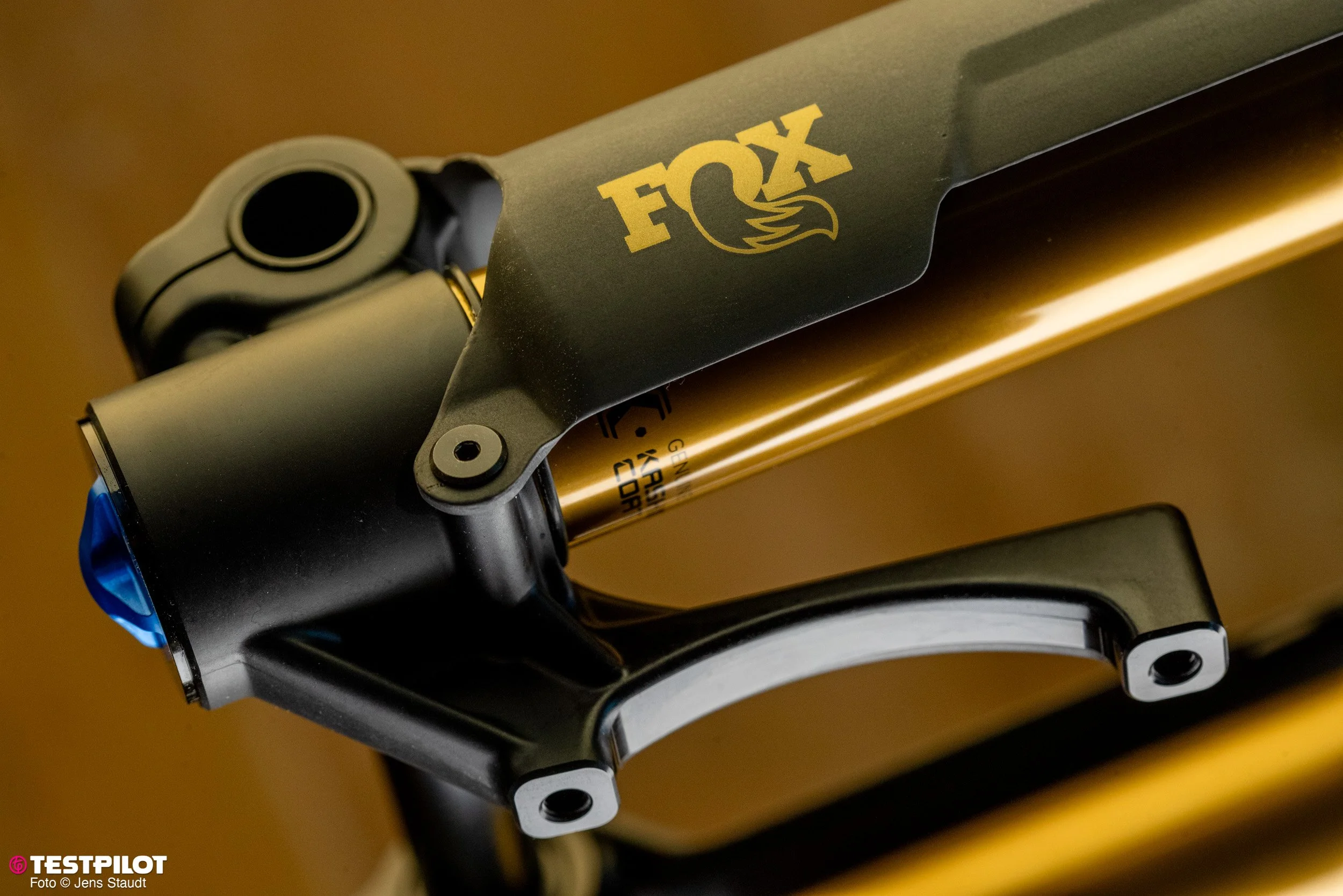 Foto_Jens_Staudt_Fox_Podium_Factory_Review-7348.jpg