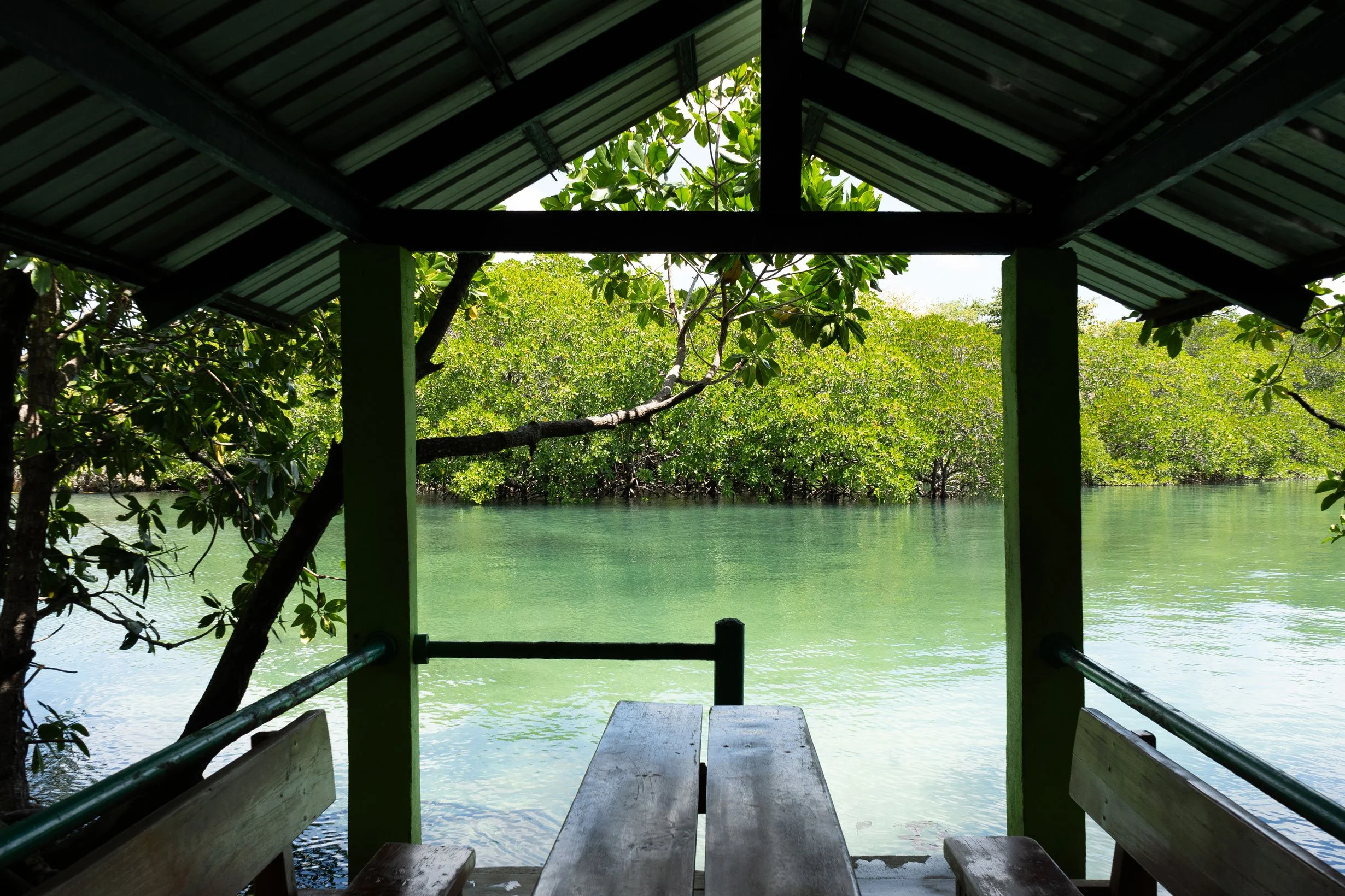Hidden nature views in Taklong Marine Reserve Guimaras Philippines