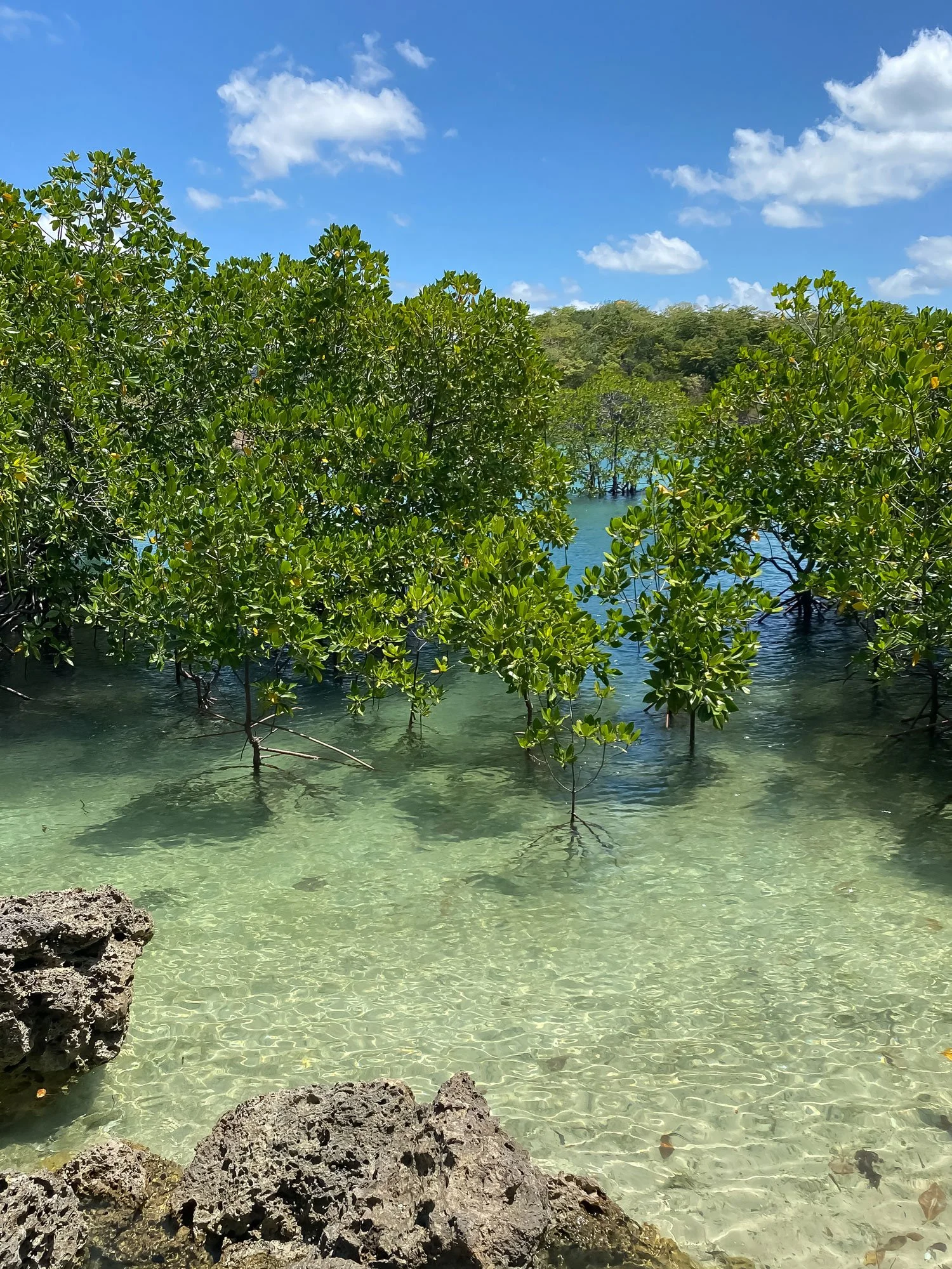 Lagoon at Taklong Island Guimaras island hopping stop