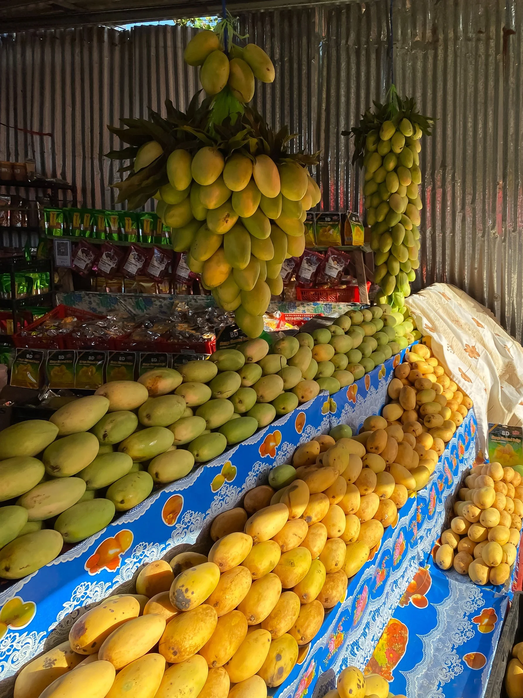 Fresh Guimaras mangoes from the Philippines tropical island