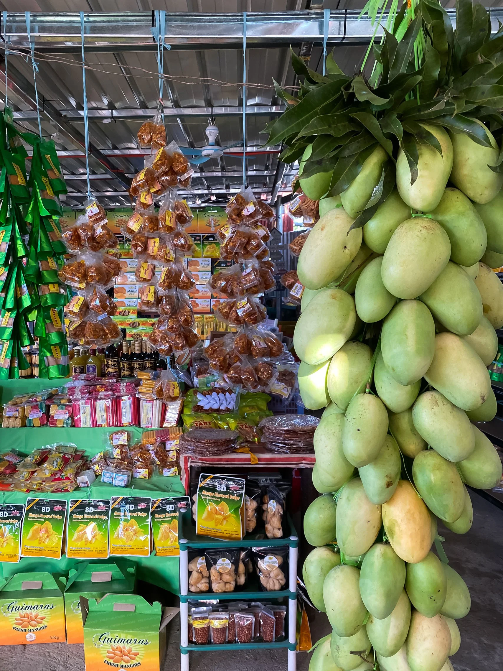 Local mangoes in Guimaras known as the sweetest in the Philippines