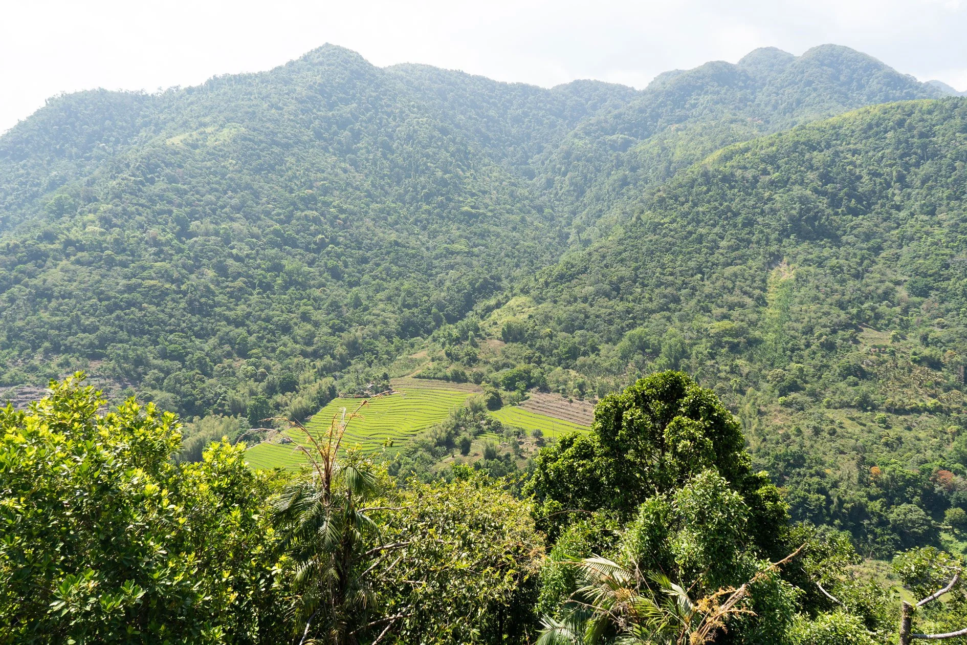 VILLA VISTA DSB: THE MOST PEACEFUL MOUNTAIN RETREAT IN NEGROS OCCIDENTAL (COMING SOON)