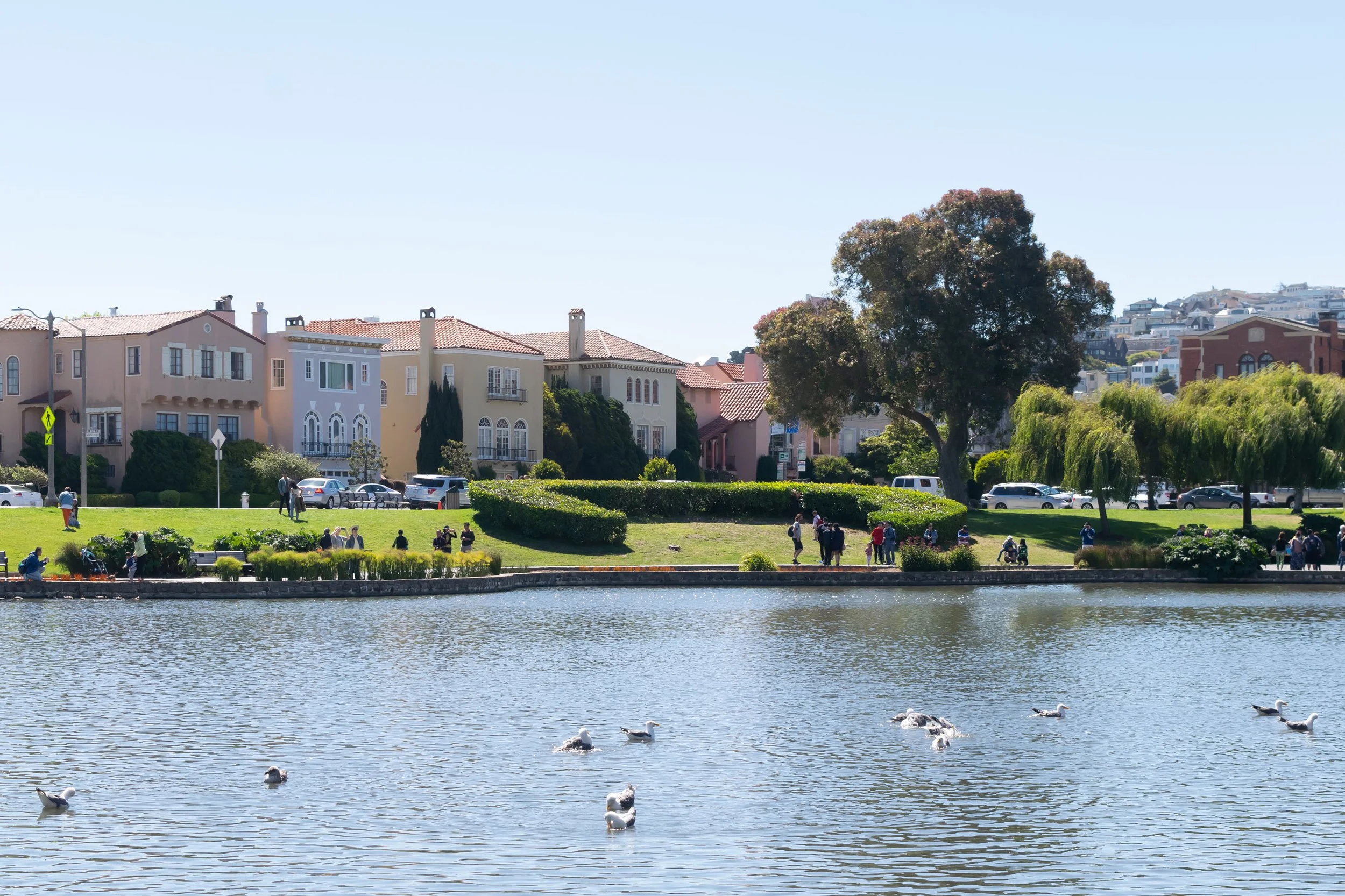 brianna-cariola-photography-san-francisco-california-palace-of-fine-arts-4.jpg