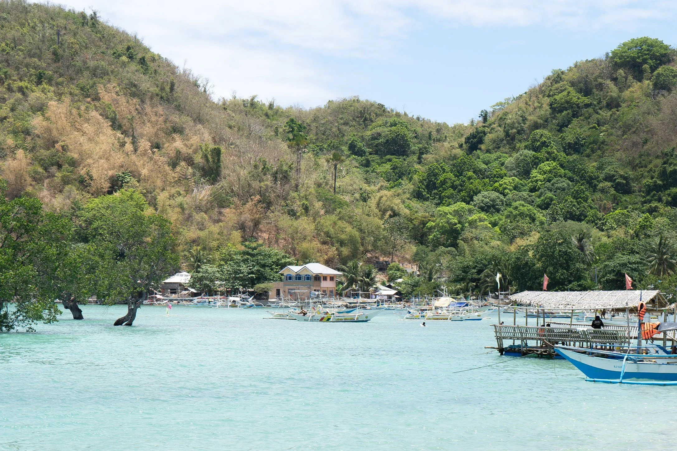 brianna-cariola-photography-concepcion-philippines-62.jpg