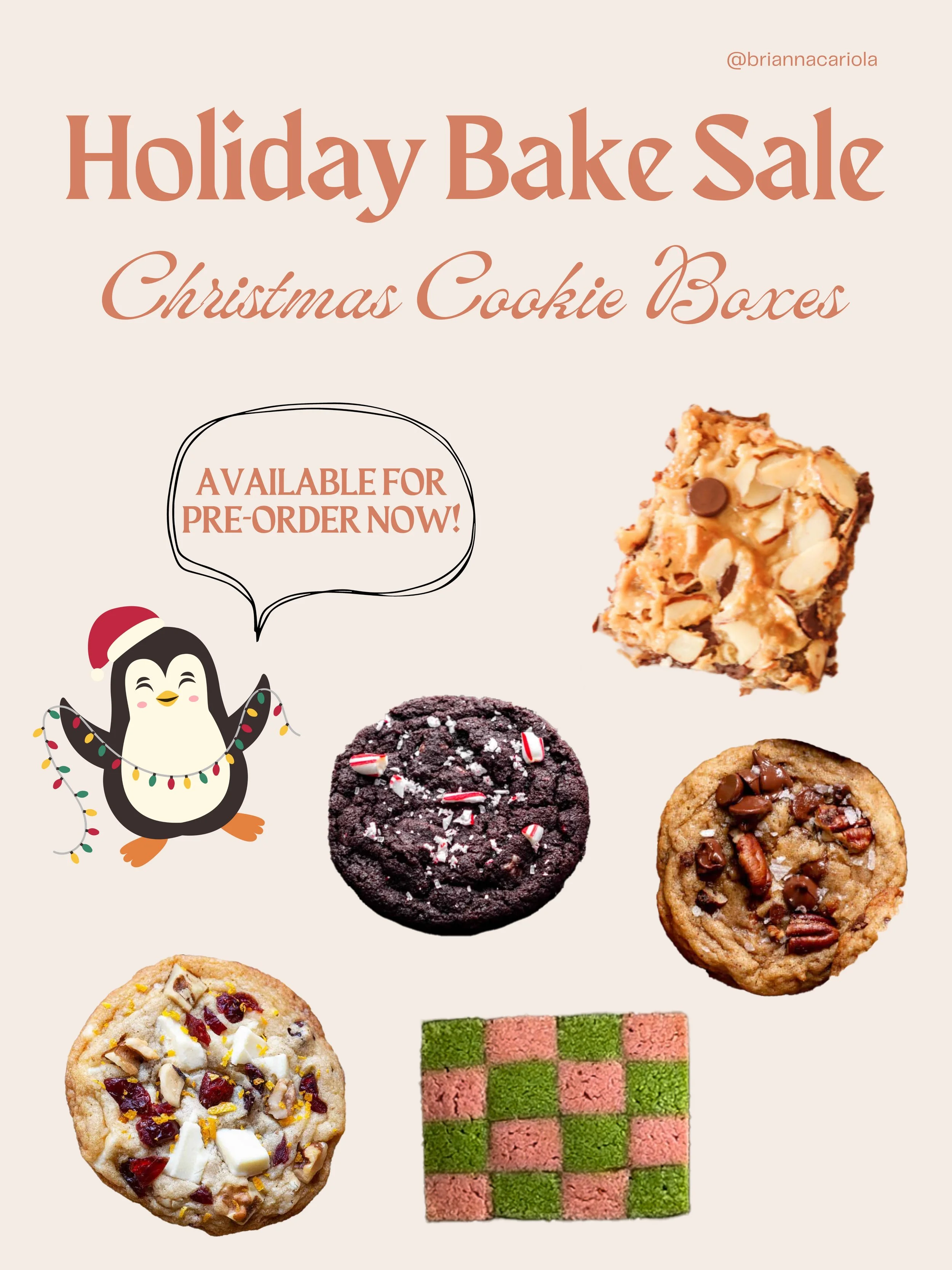 Christmas Cookie Box - 10 Pieces