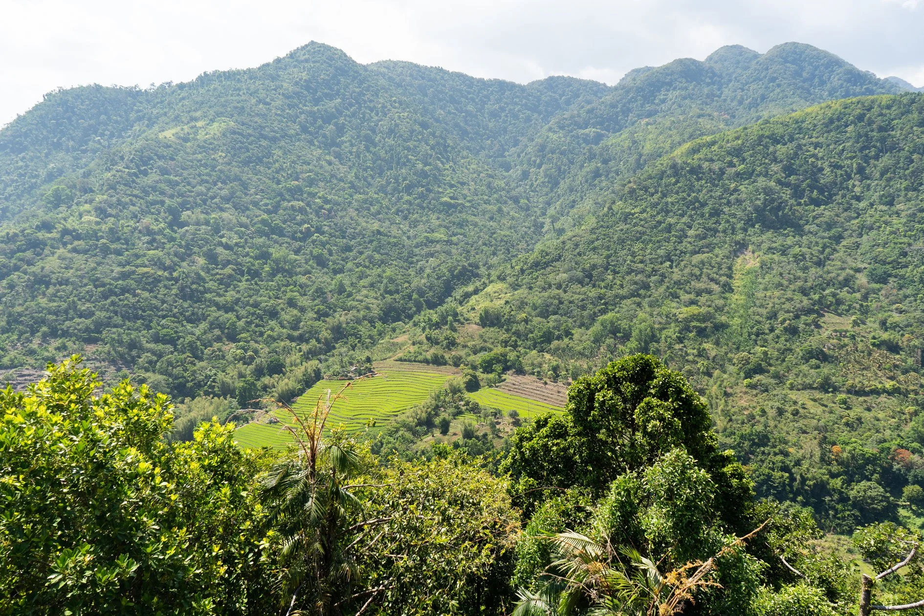 brianna-cariola-photography-don-san-benedicto-philippines-vista-villa-7-1.jpg