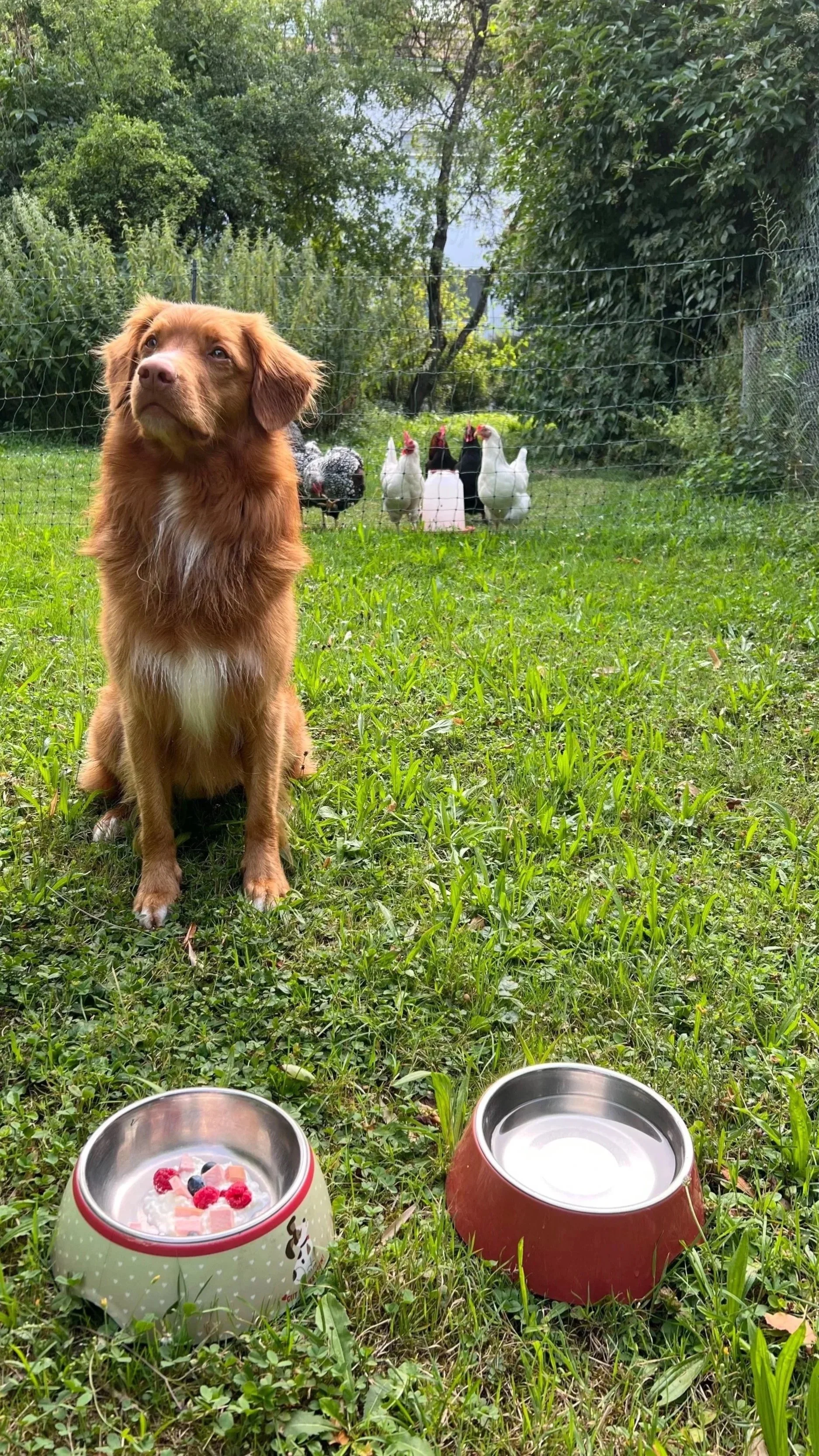 Happy 4. Birthday 😍