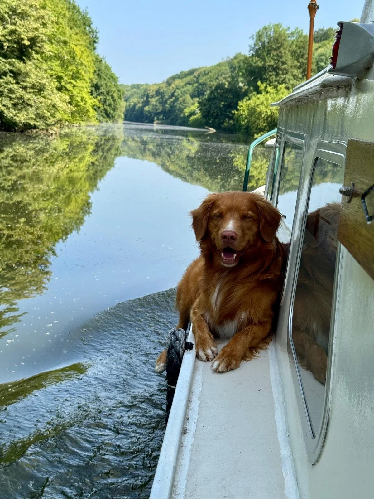 Auf der Saone mit dem Bootshund 