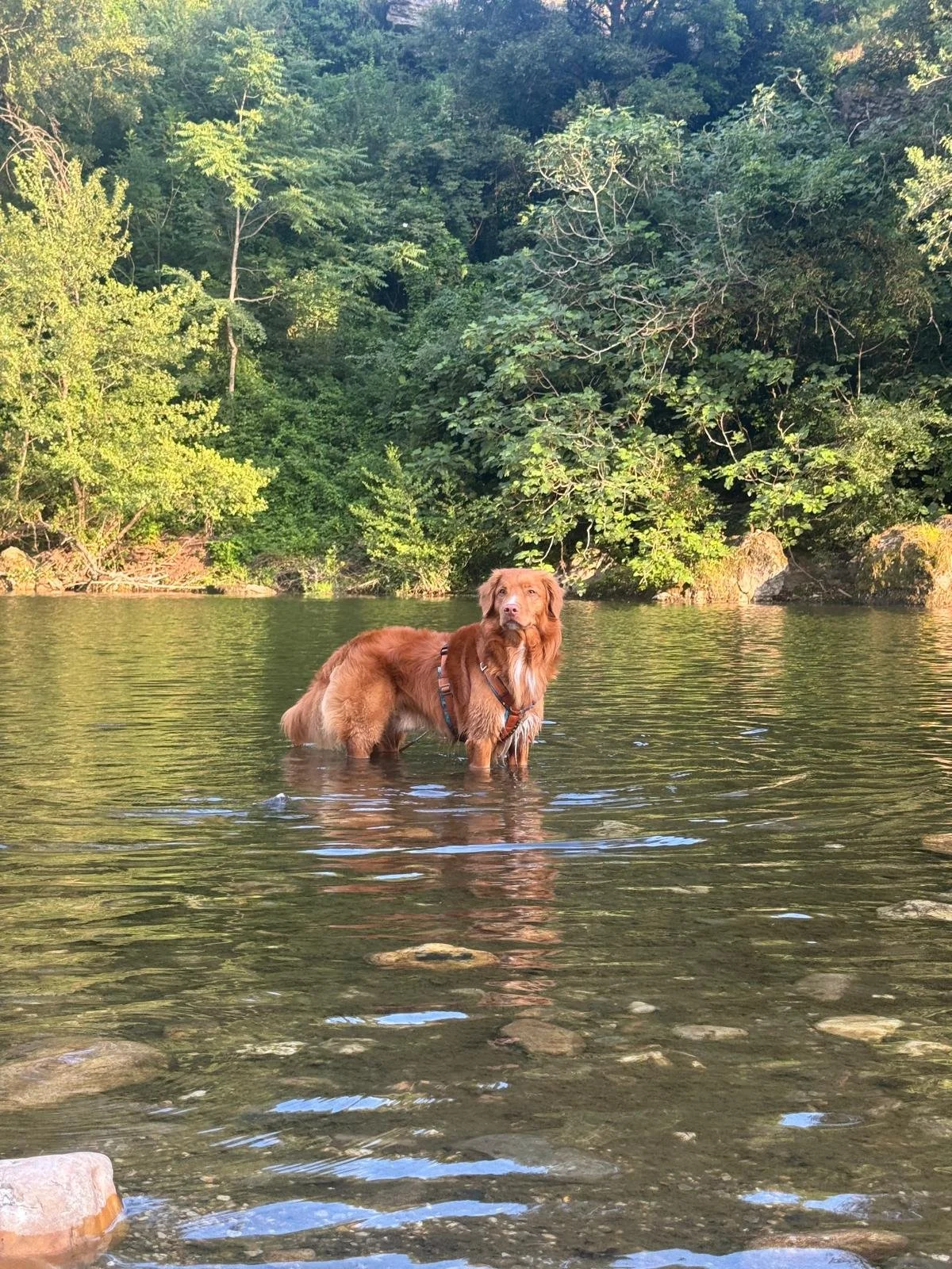 Südfrankreich Juni 2025