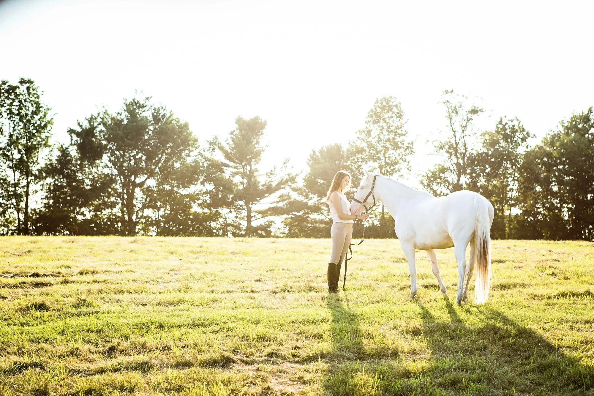 A woman standing on grass holding the bridle of a white horse in a sunlit field with trees in the background.